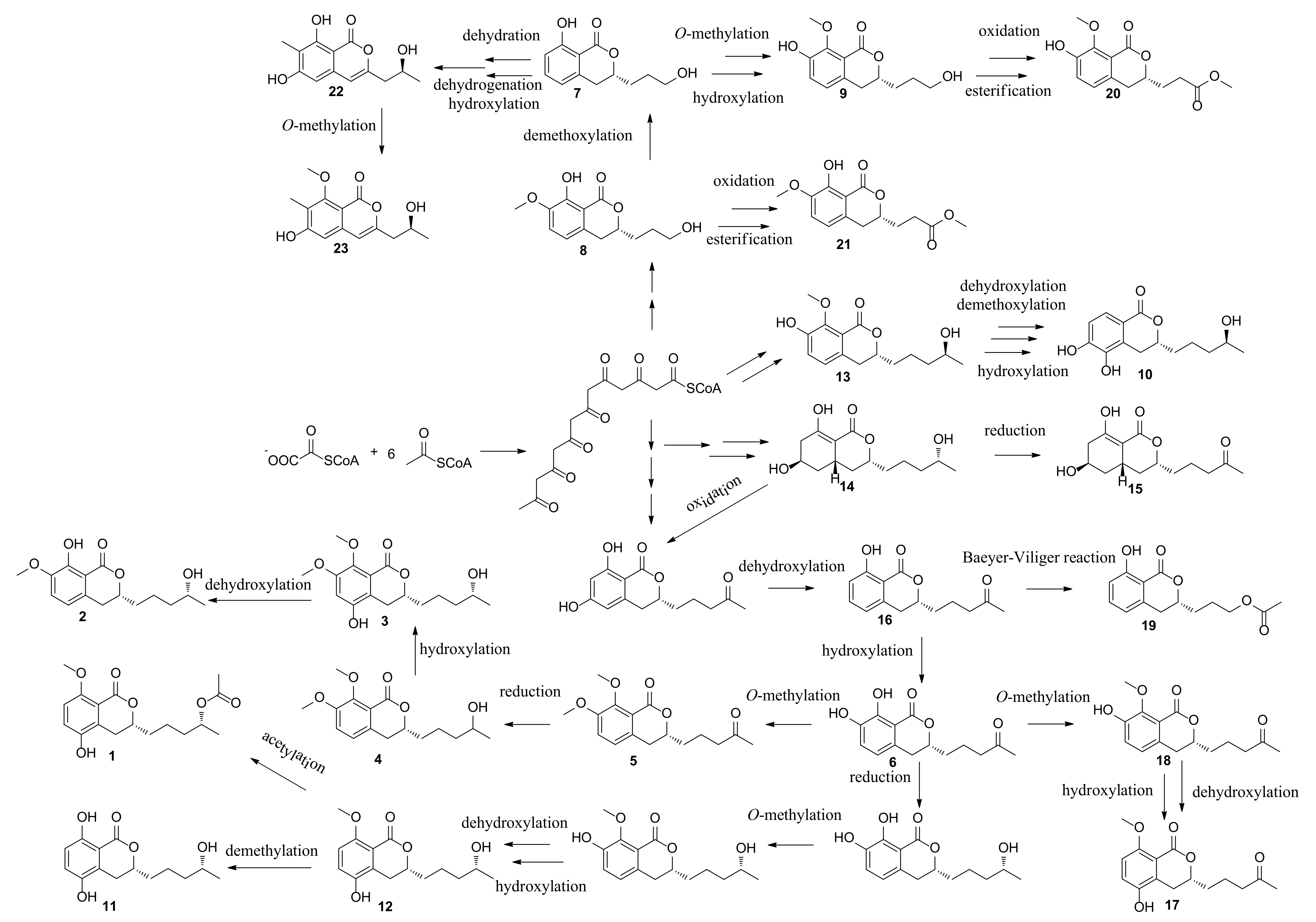 Marinedrugs 20 00361 sch001