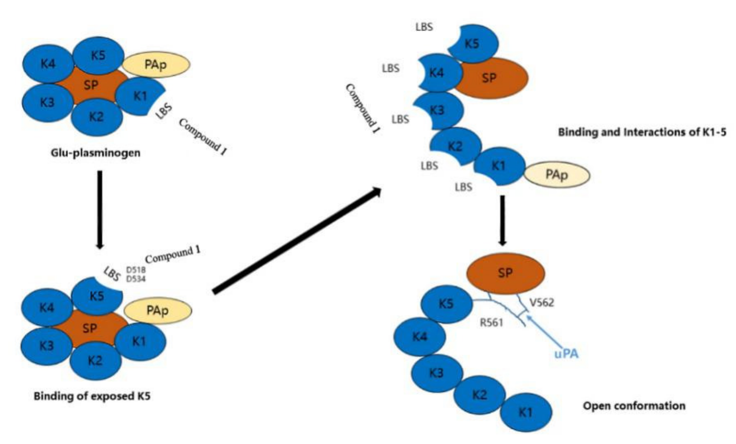 Marinedrugs 20 00405 g003 Marinedrugs 20 00405 g003
