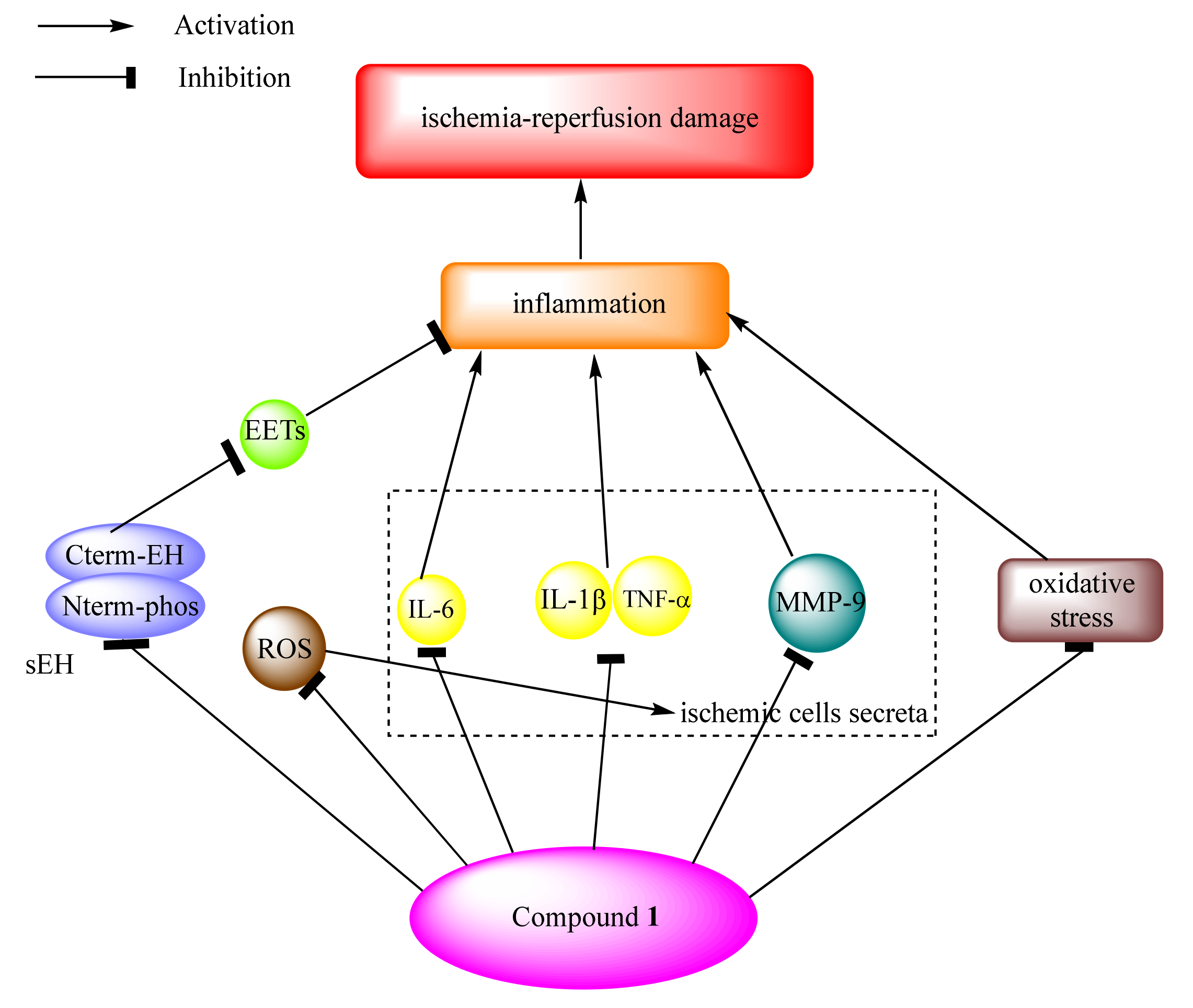 Marinedrugs 20 00405 g008 Marinedrugs 20 00405 g008