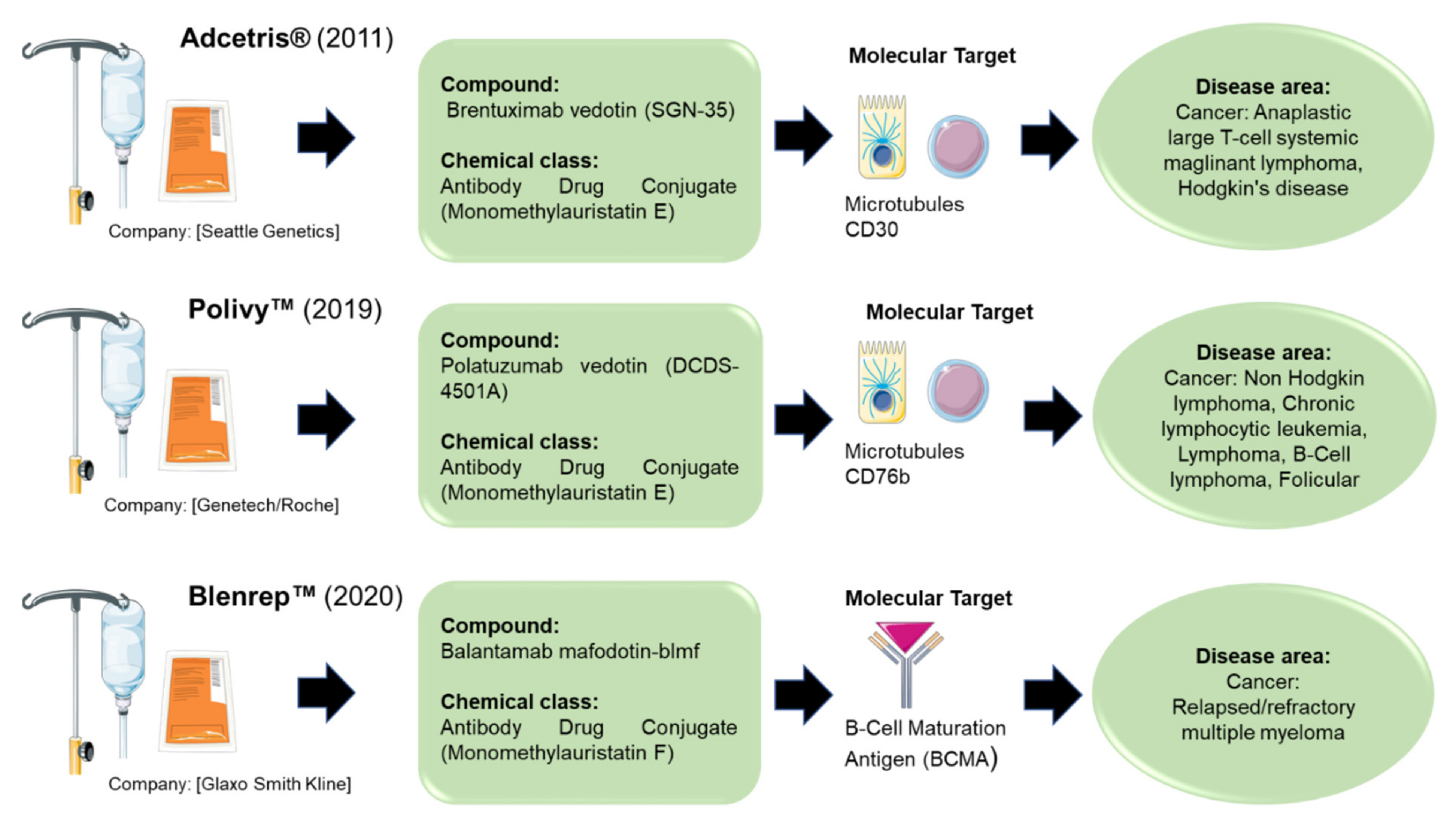 Marinedrugs 20 00422 g002 Marinedrugs 20 00422 g002