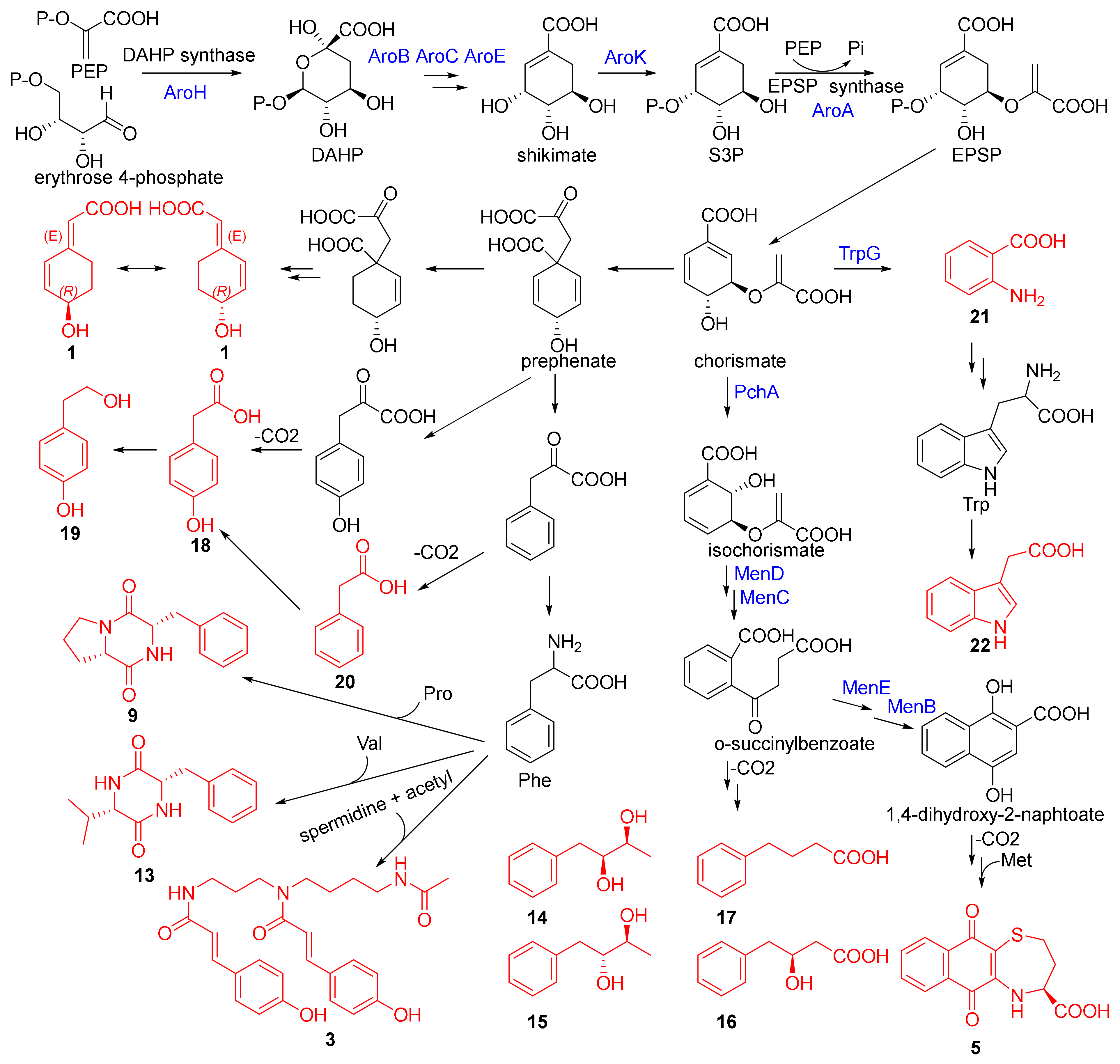 Marinedrugs 20 00431 sch001
