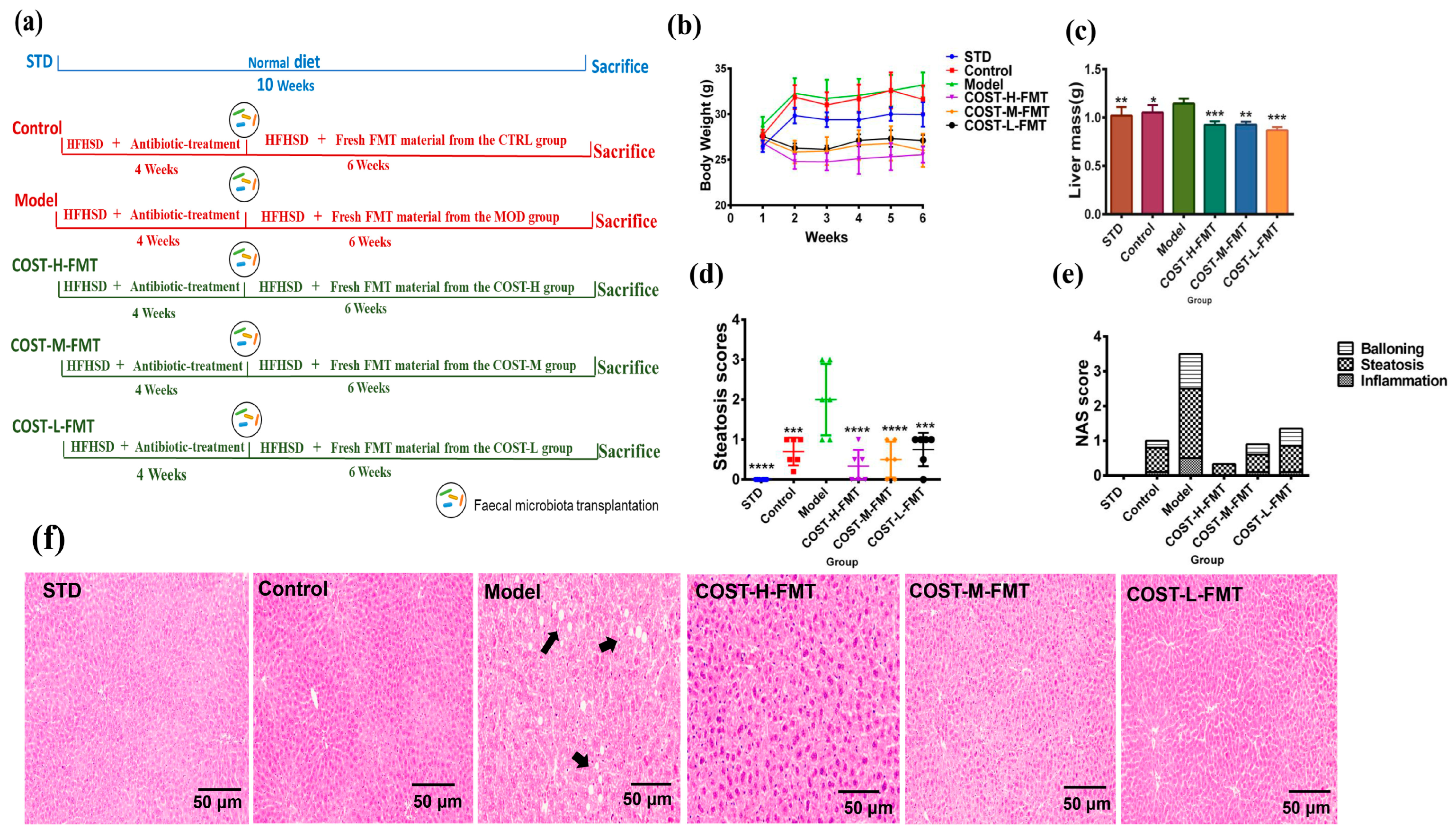 Marinedrugs 20 00444 g003