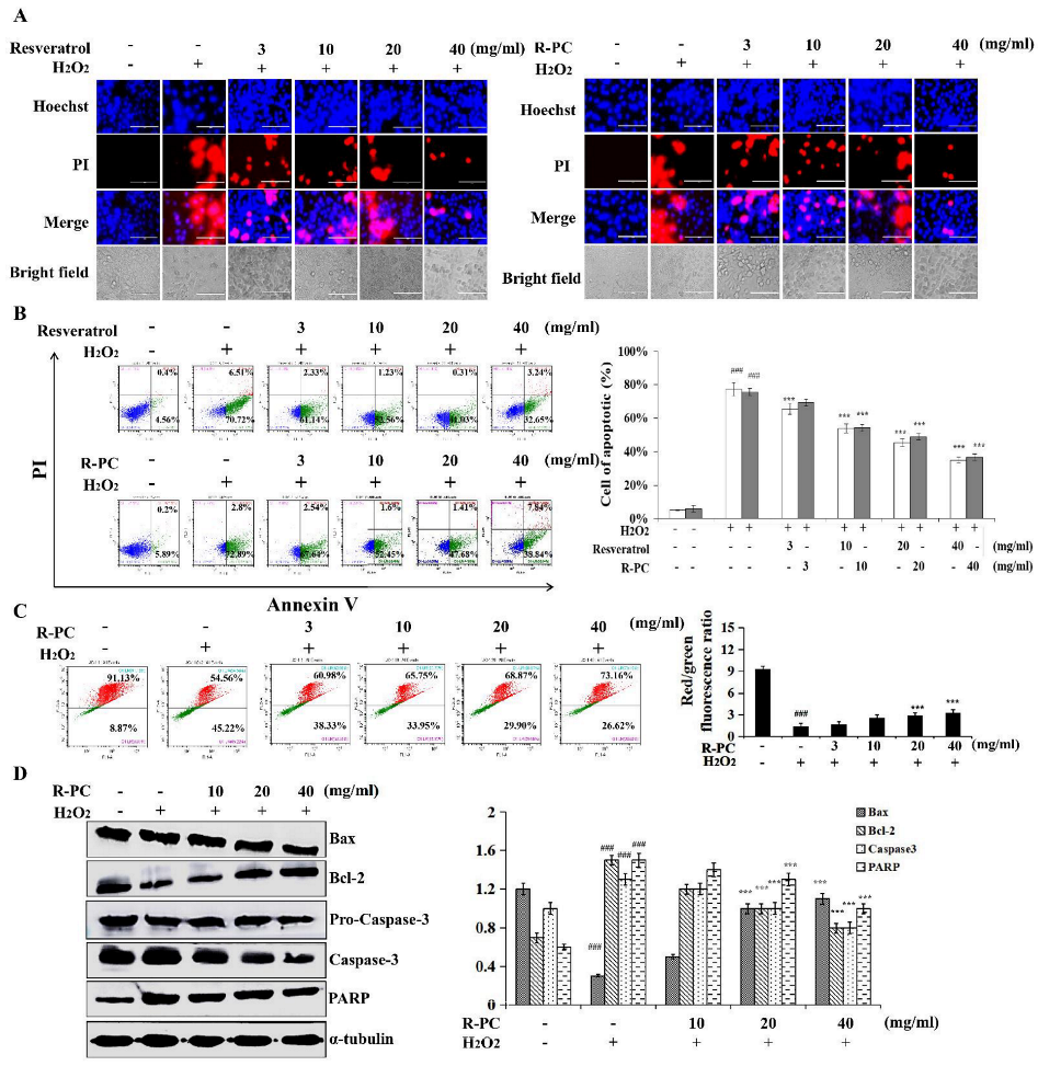 Marinedrugs 20 00468 g004