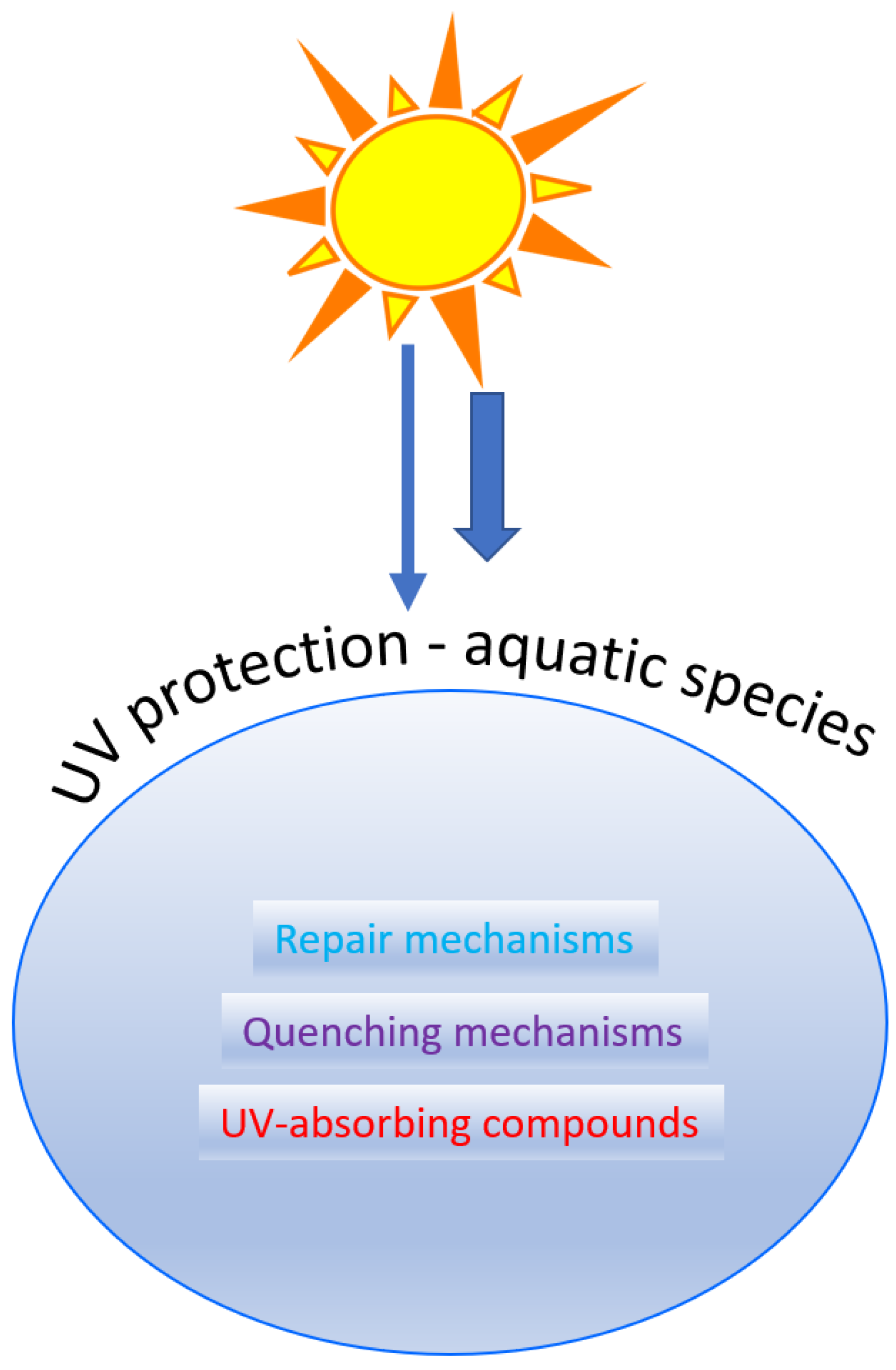 Marinedrugs 20 00478 g001
