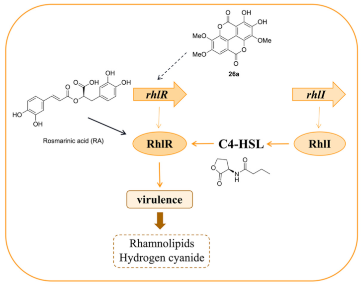 Marine Drugs | Free Full-Text | The Molecular Architecture Of ...