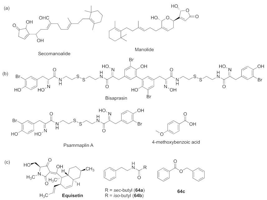Marinedrugs 20 00488 g019