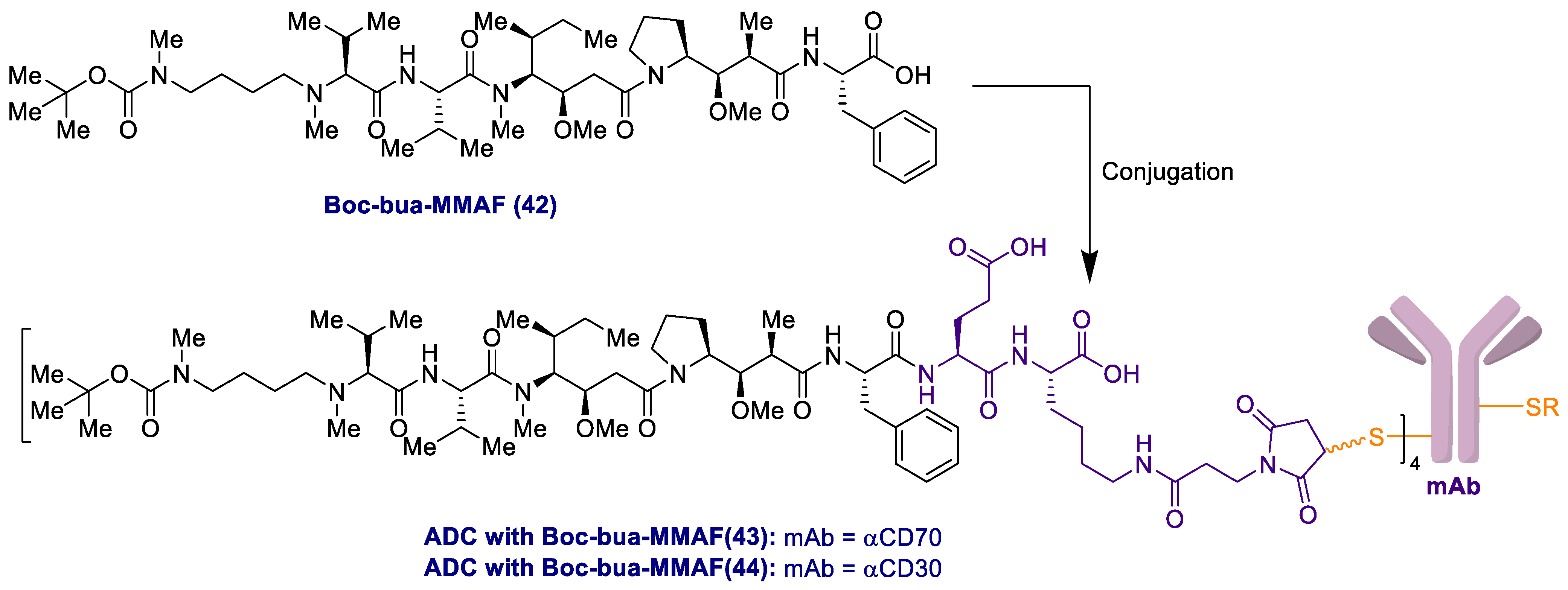 Marine Drugs Free Full Text Antibody Drug Conjugates Containing