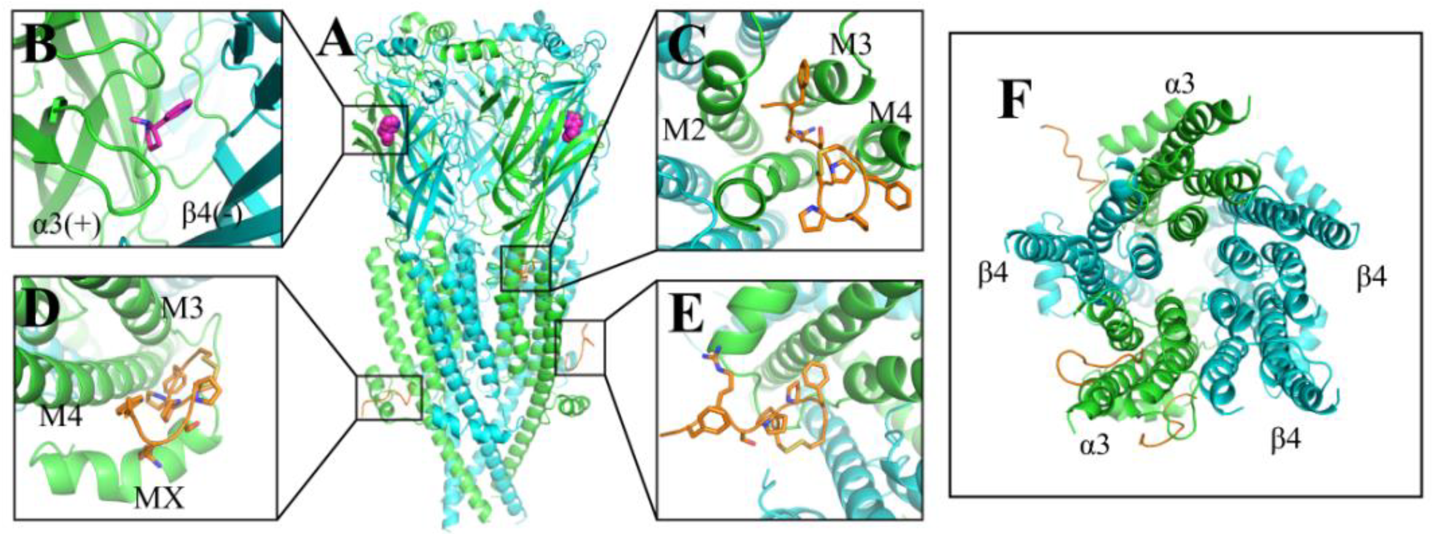 Marinedrugs 20 00497 g002
