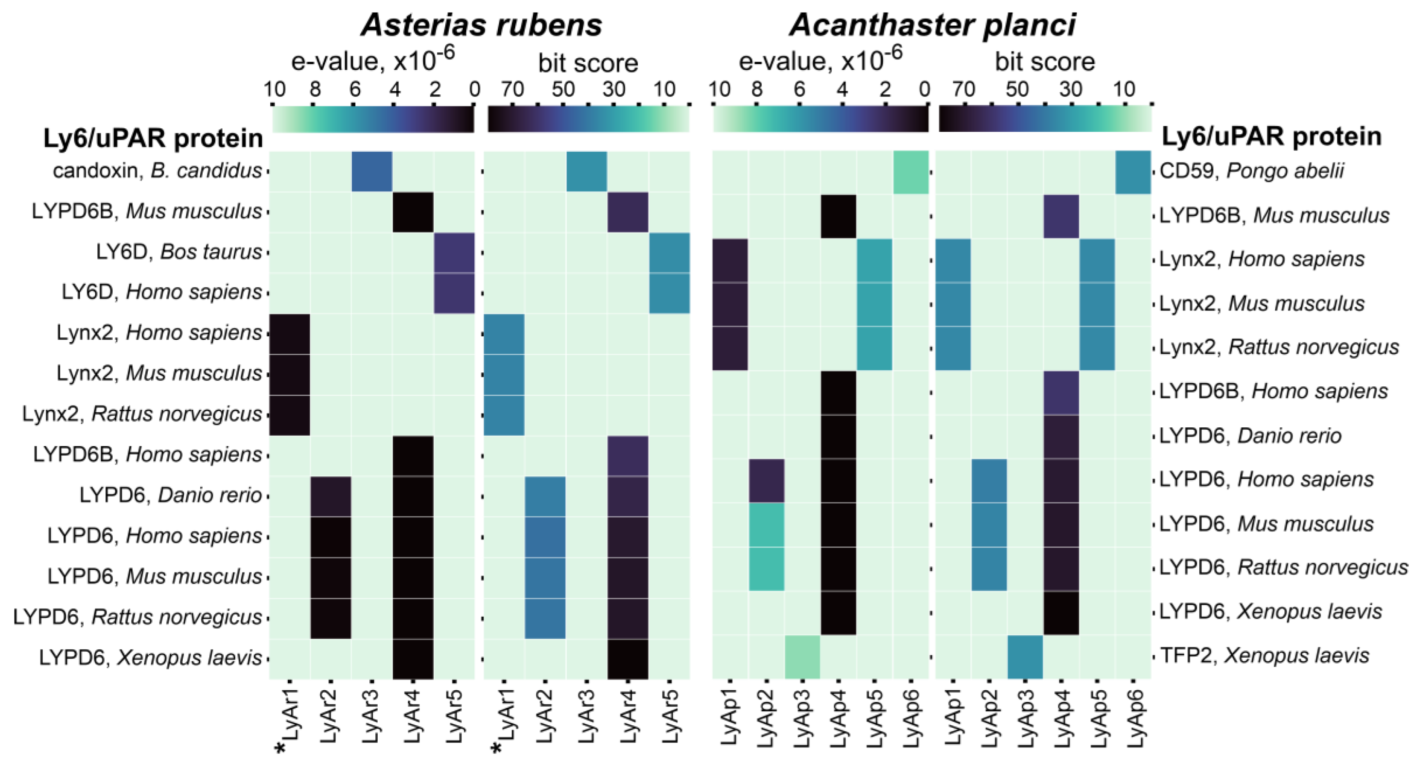 Marine Drugs | Free Full-Text | New Three-Finger Protein from