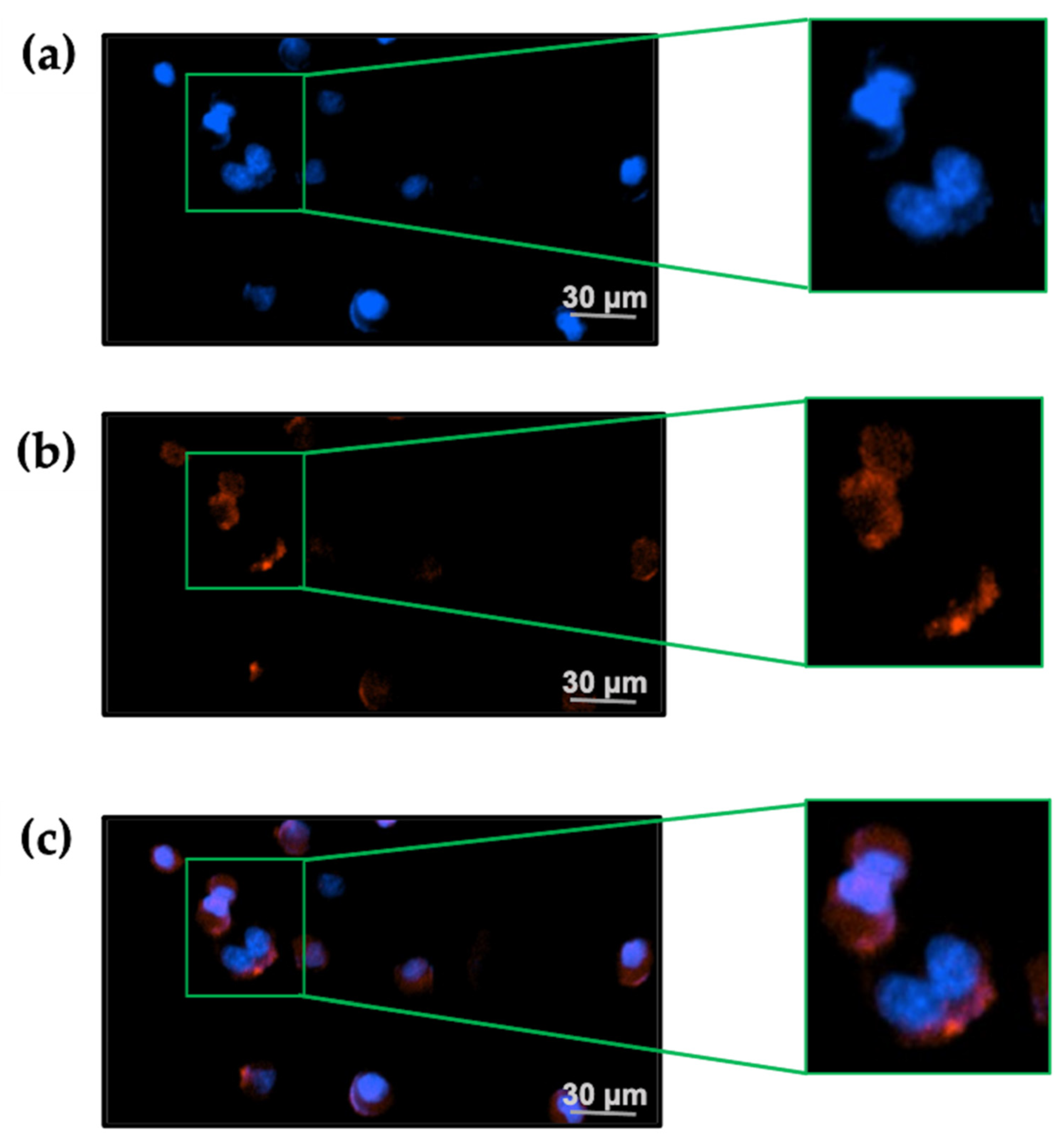 Marinedrugs 20 00511 g006