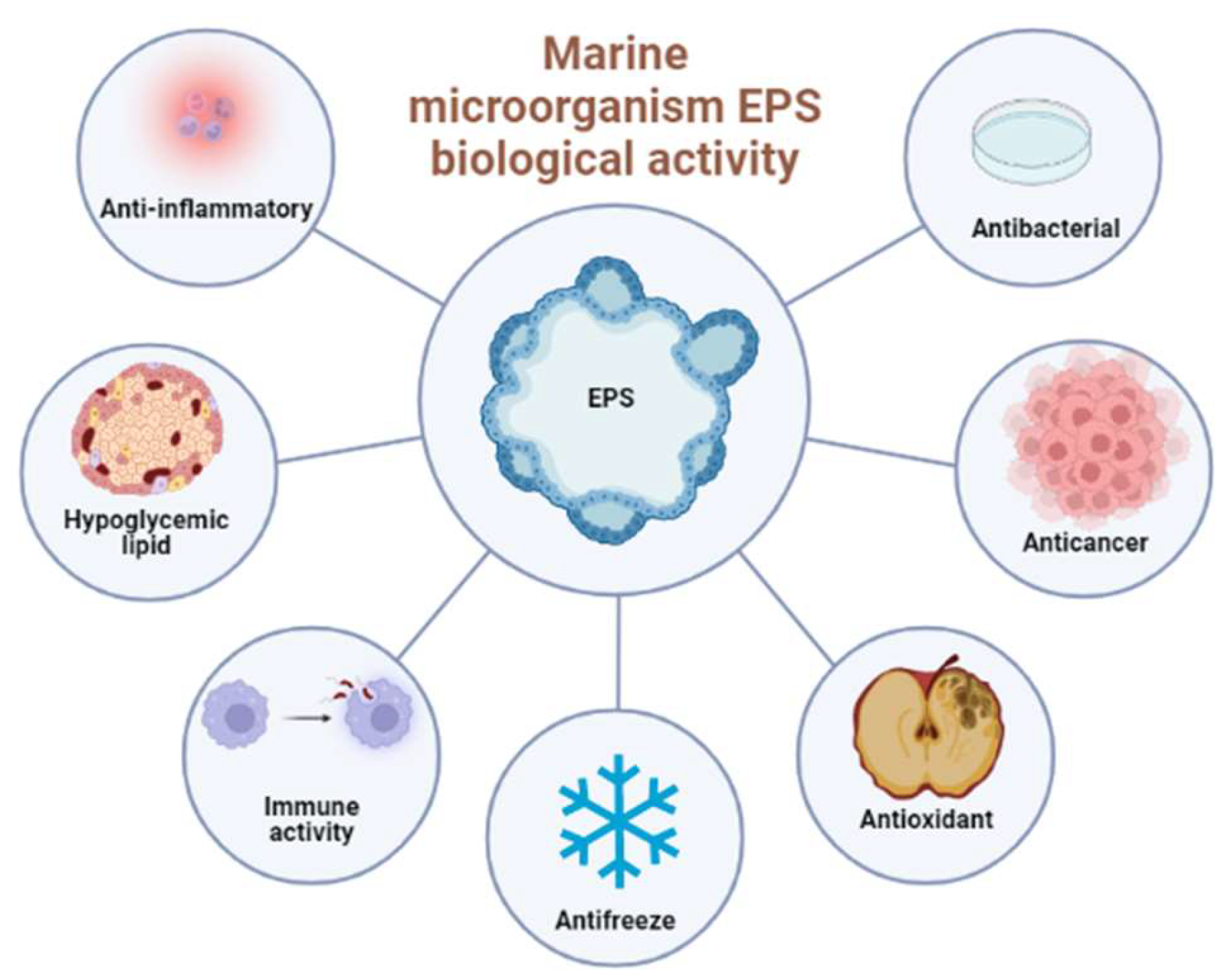 Marine Medicine 20 00512 g002 550