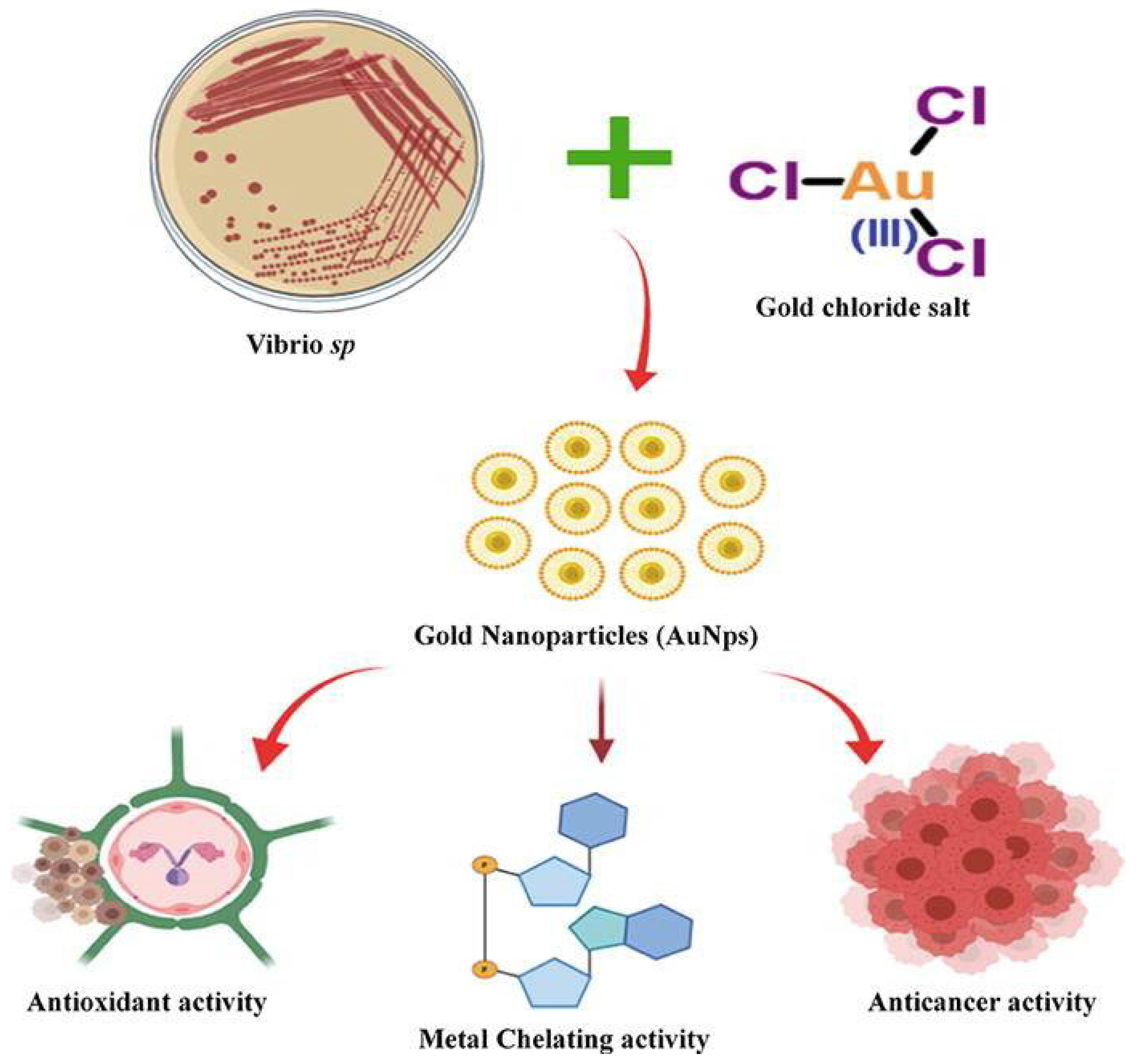 Marinedrugs 20 00527 g005
