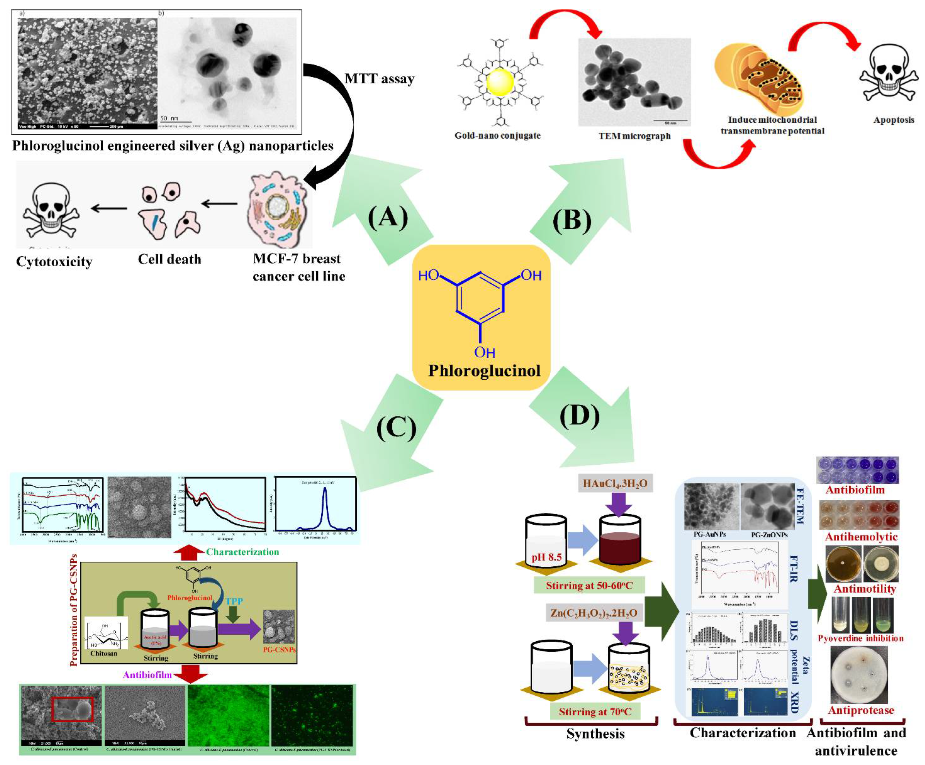 Marinedrugs 20 00527 g006