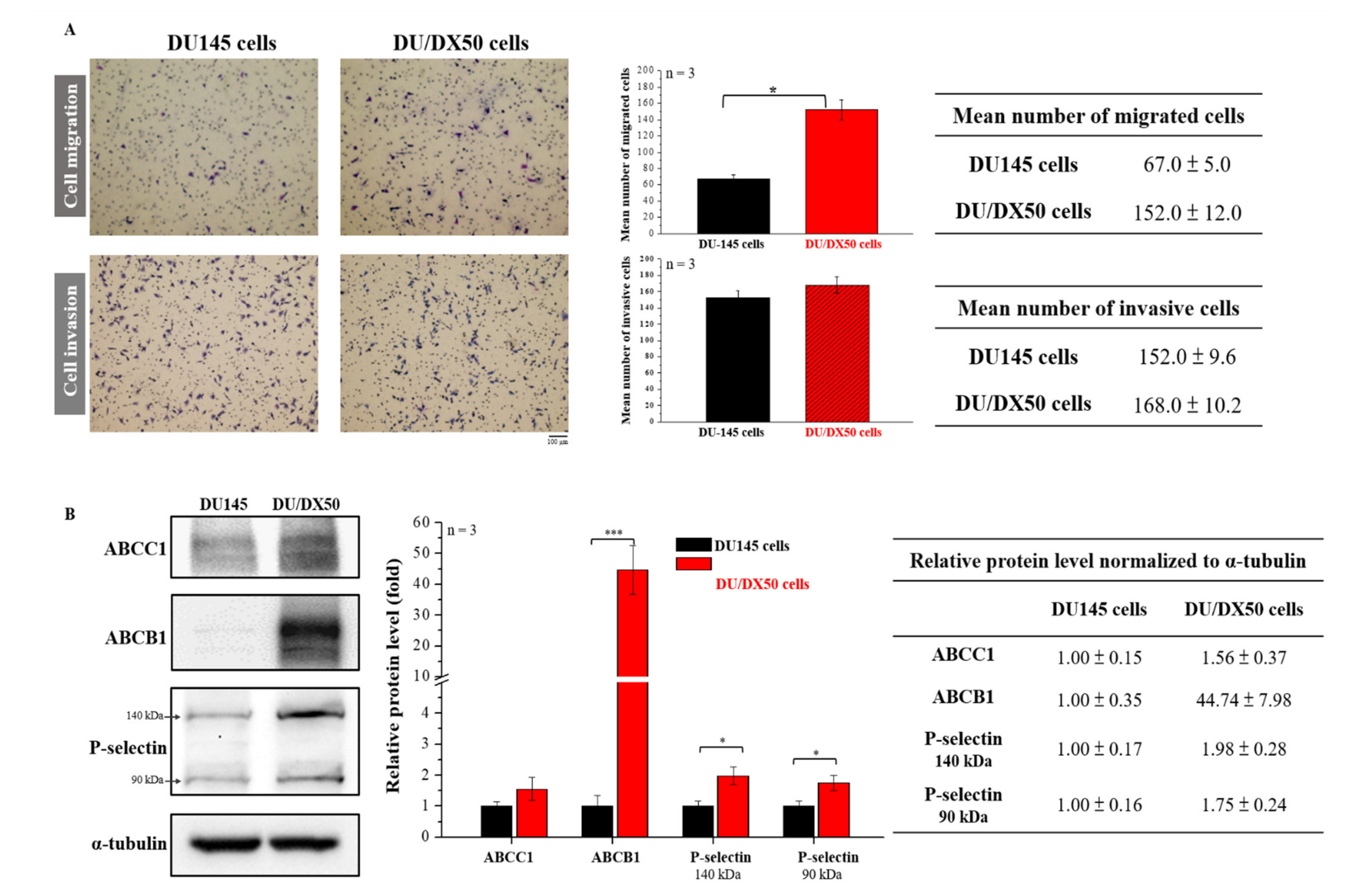 Marine Drugs | Free Full-Text | Active Targeting of P-Selectin by Fucoidan  Modulates the Molecular Profiling of Metastasis in Docetaxel-Resistant  Prostate Cancer | HTML