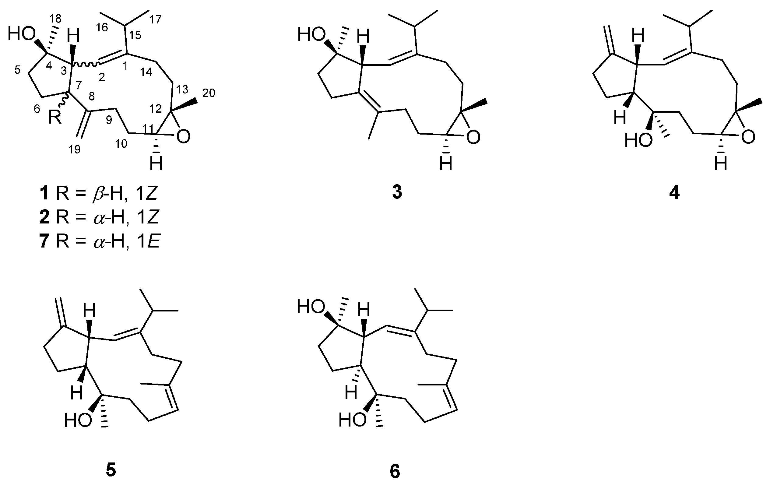 Marinedrugs 20 00602 g001 Marinedrugs 20 00602 g001
