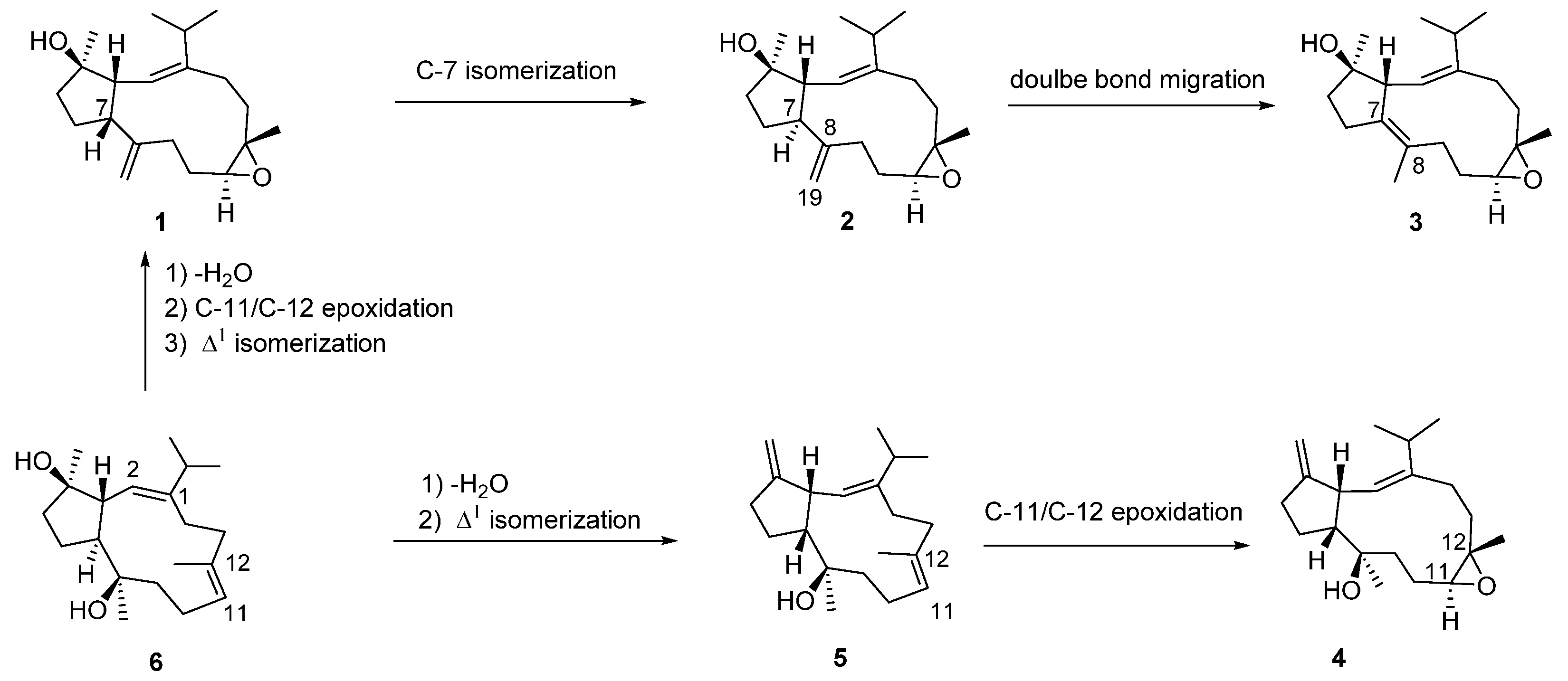 Marinedrugs 20 00602 sch001 Marinedrugs 20 00602 sch001