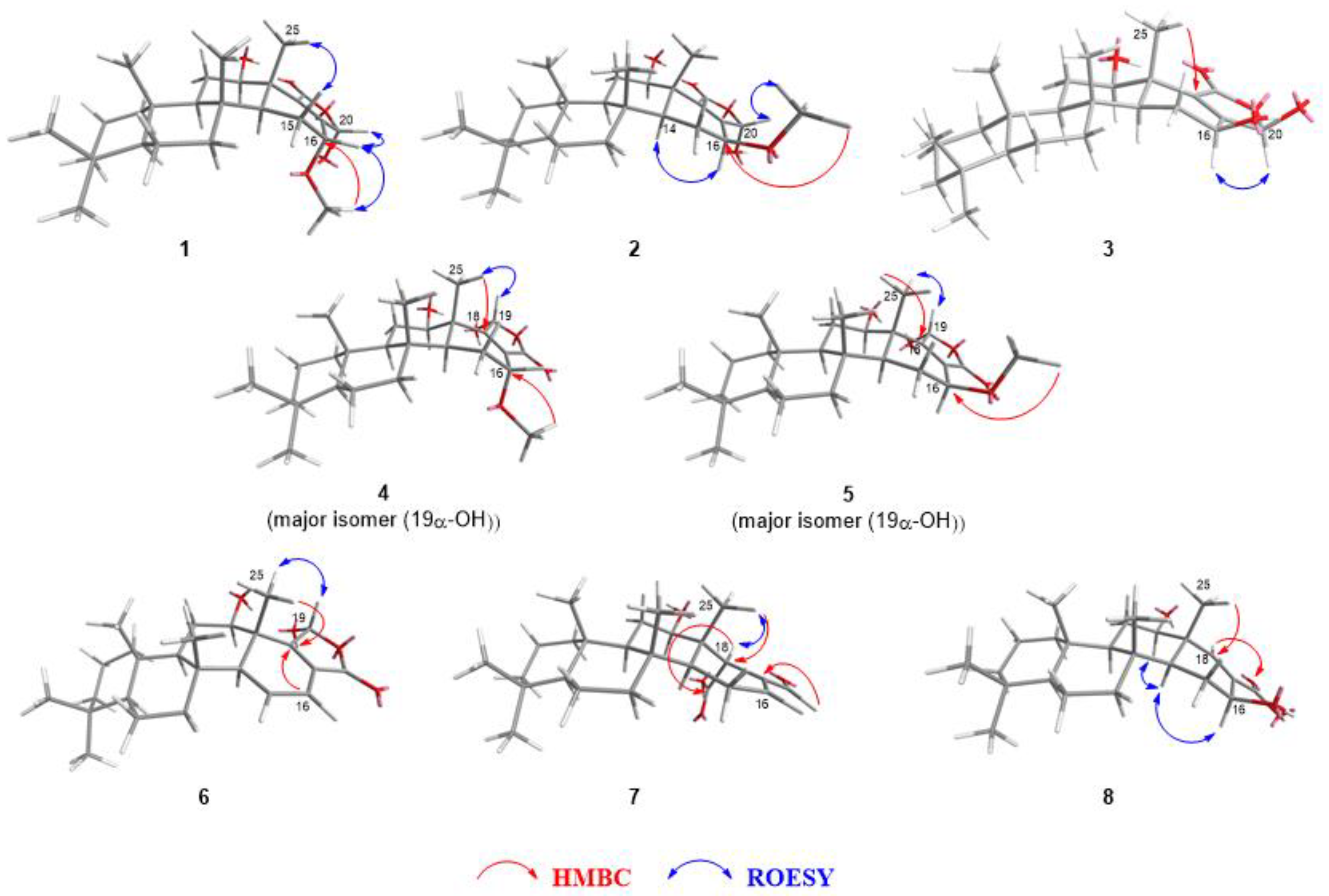 Marinedrugs 20 00604 g002 Marinedrugs 20 00604 g002