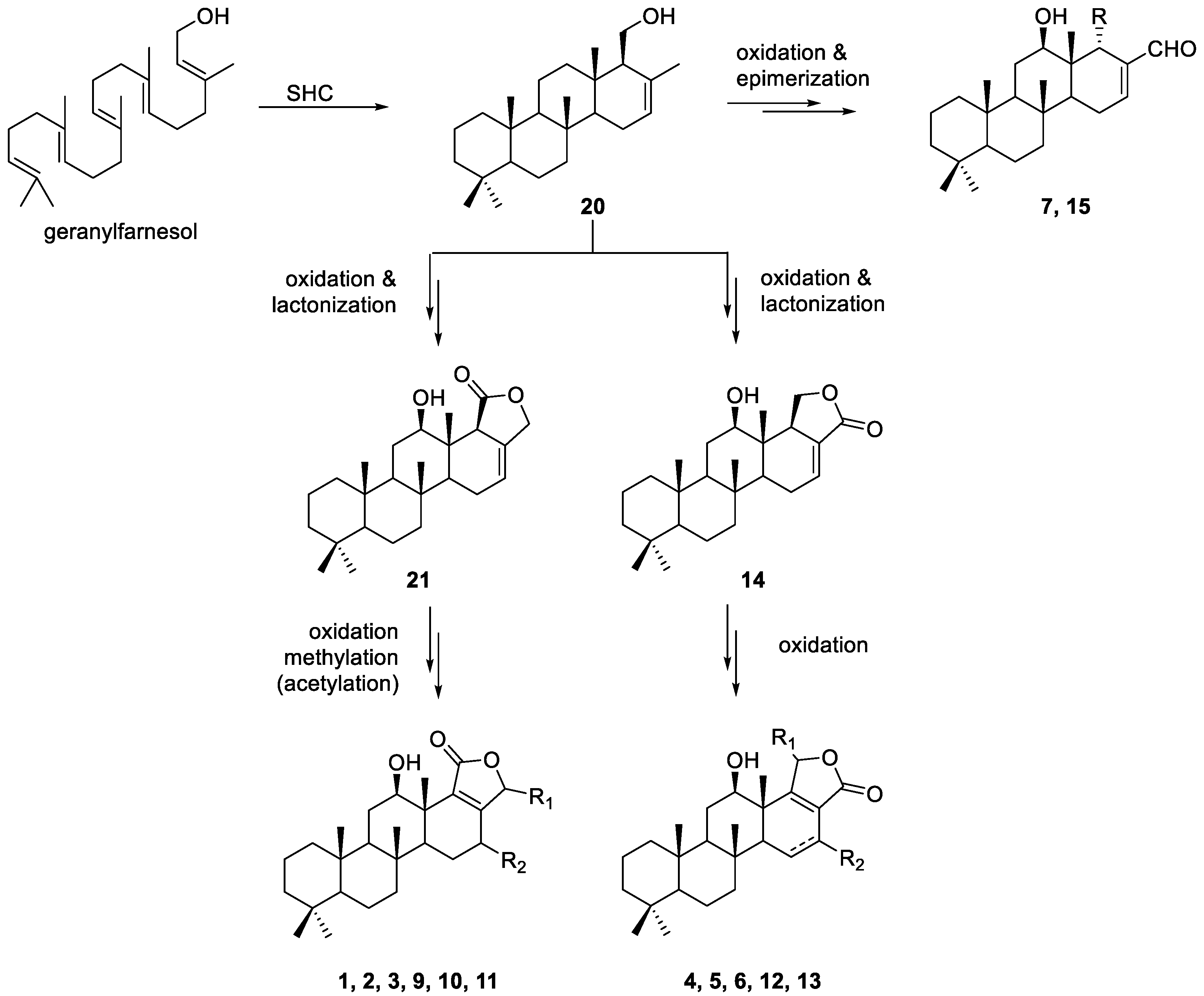 Marinedrugs 20 00604 g004 Marinedrugs 20 00604 g004