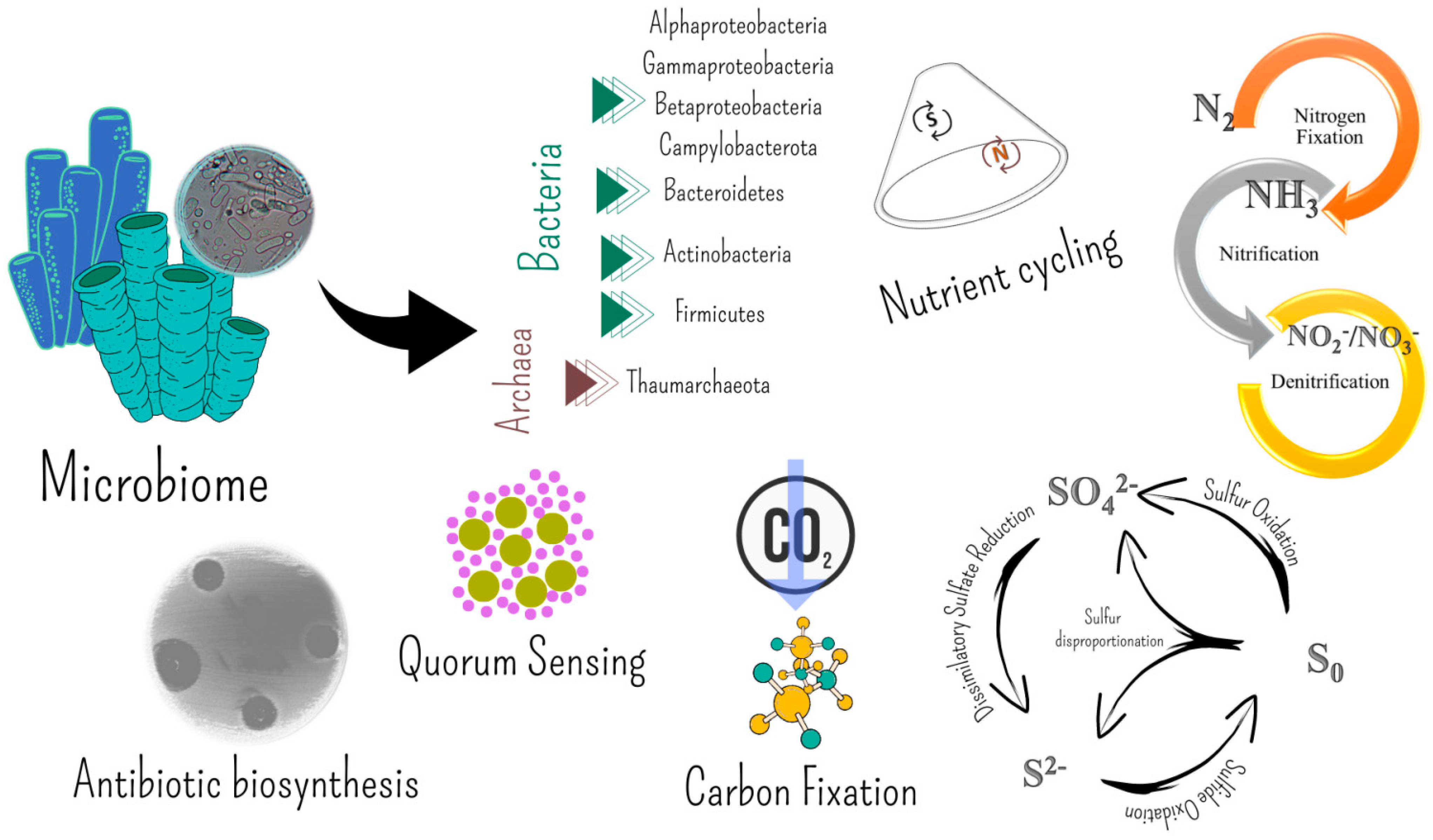 Marinedrugs 20 00617 g003
