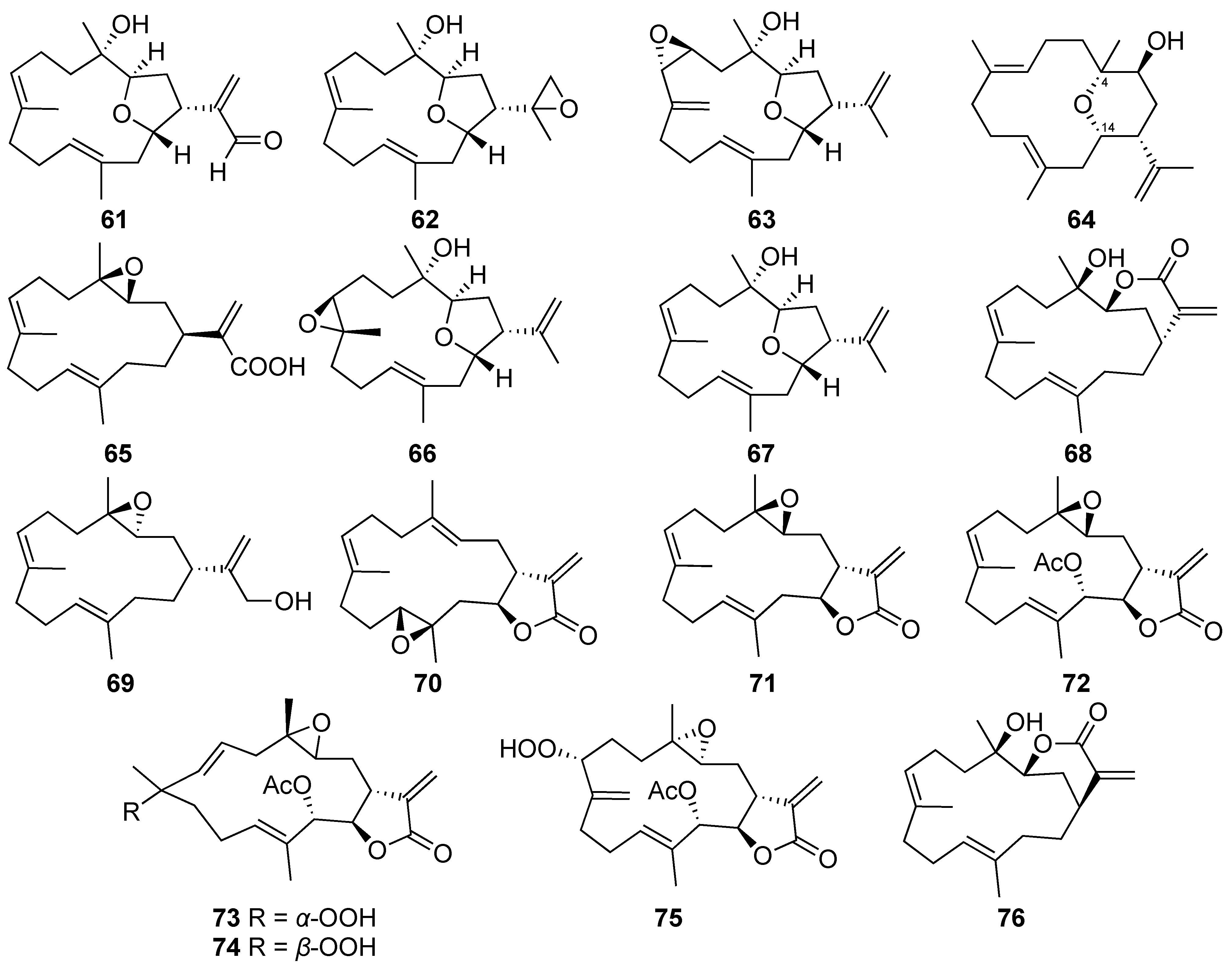 Marinedrugs 20 00640 g005 Marinedrugs 20 00640 g005