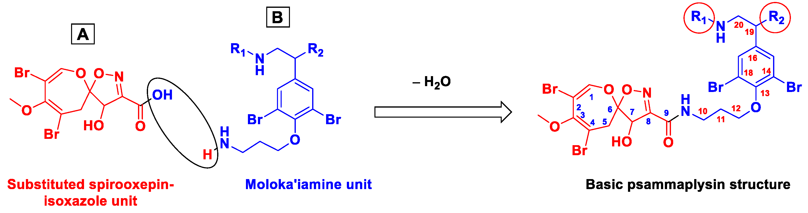 Marinedrugs 20 00663 g003 Marinedrugs 20 00663 g003