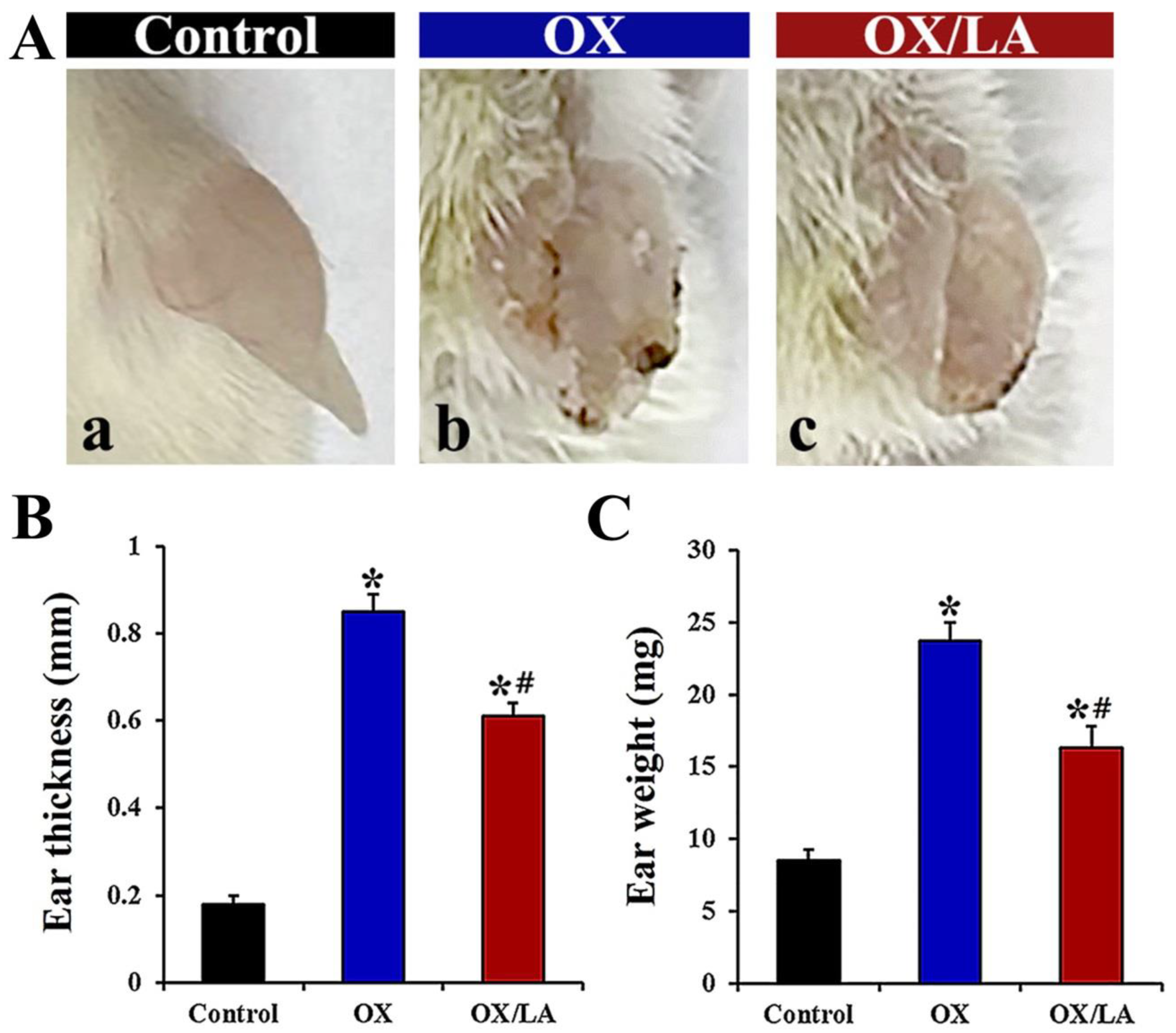 Marinedrugs 20 00669 g002 Marinedrugs 20 00669 g002