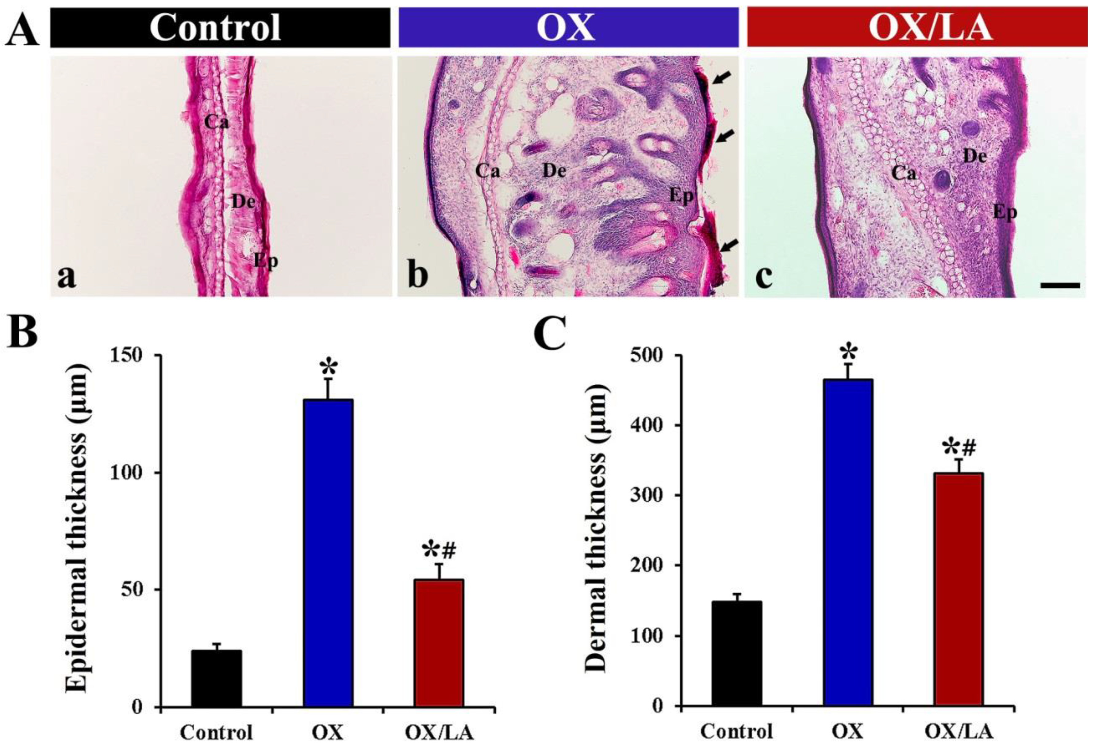 Marinedrugs 20 00669 g003 Marinedrugs 20 00669 g003