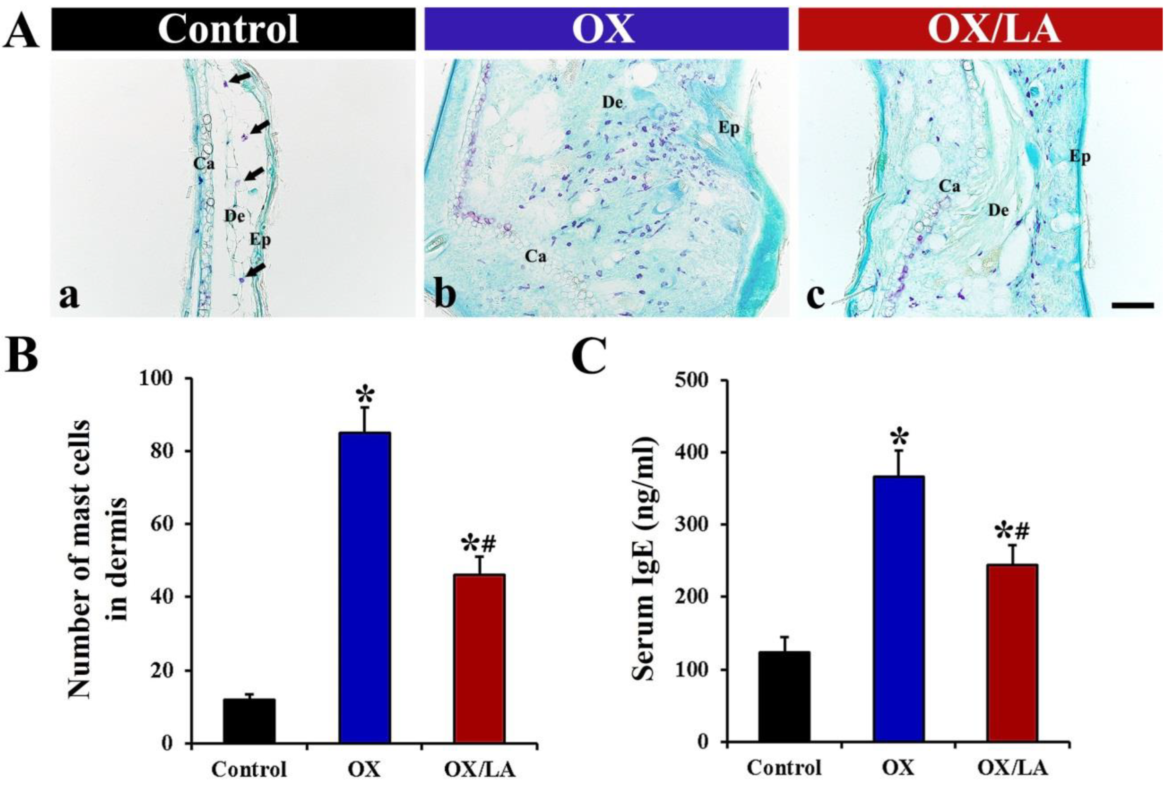 Marinedrugs 20 00669 g004 Marinedrugs 20 00669 g004