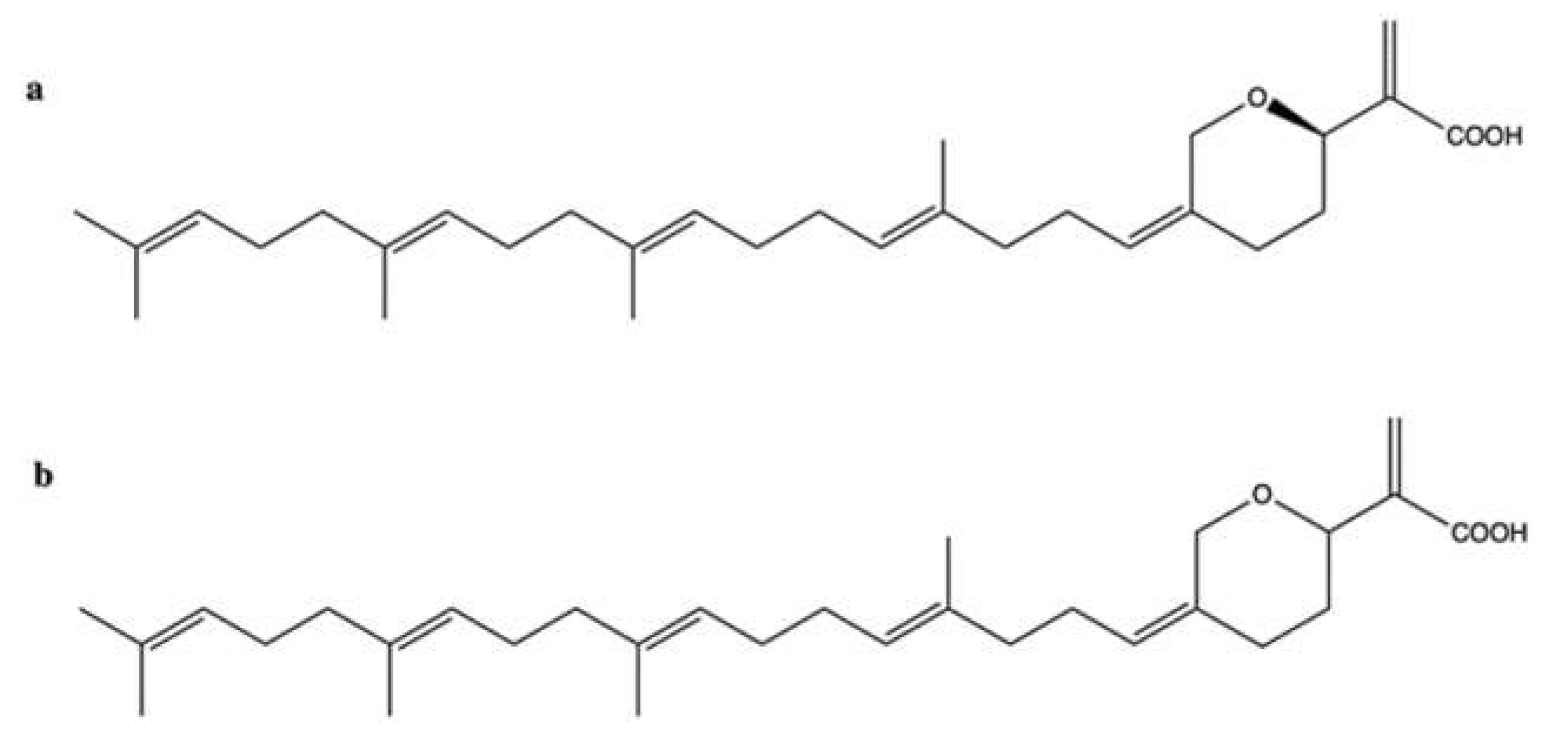 Marinedrugs 20 00674 g006