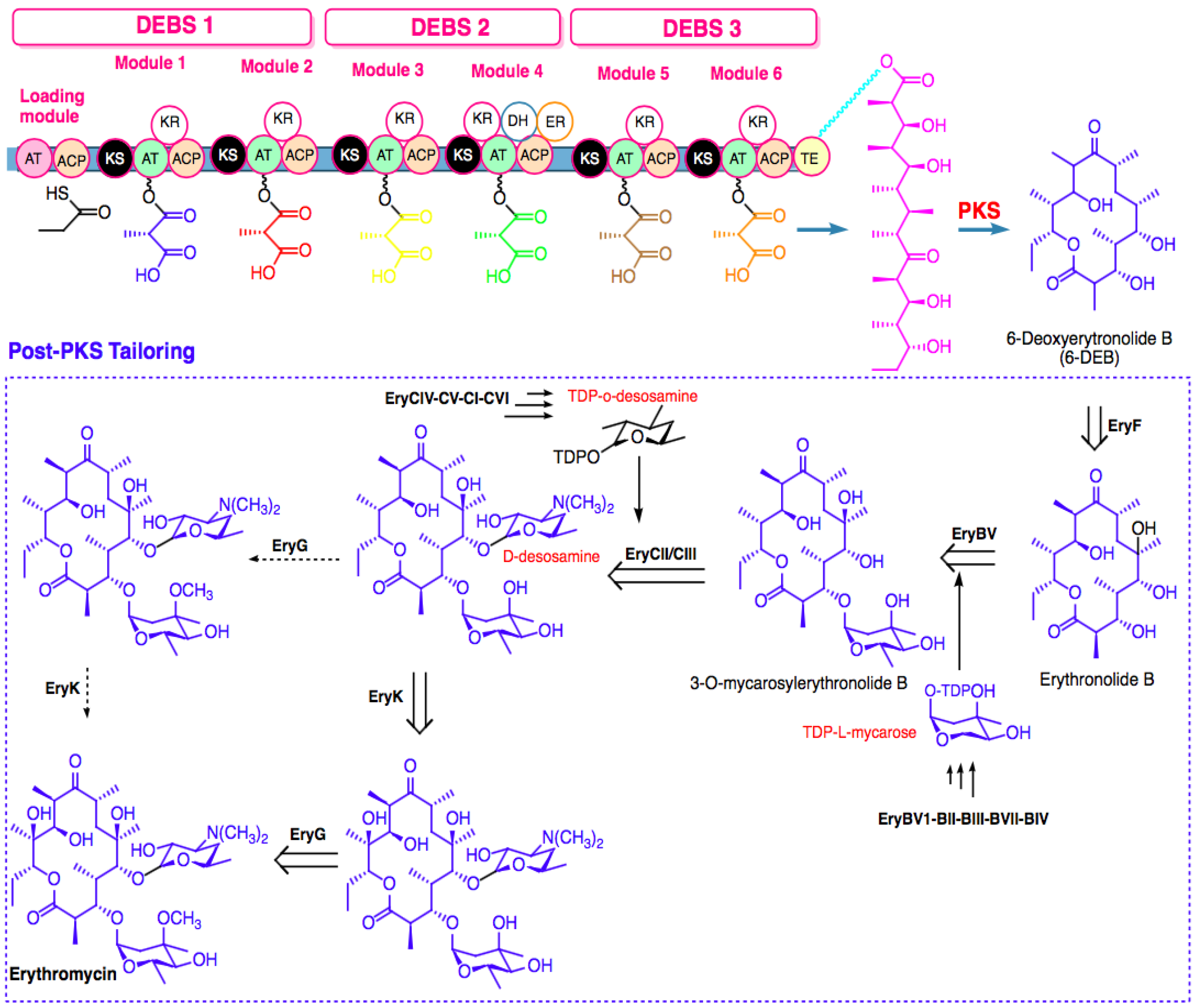 Marinedrugs 20 00691 g003