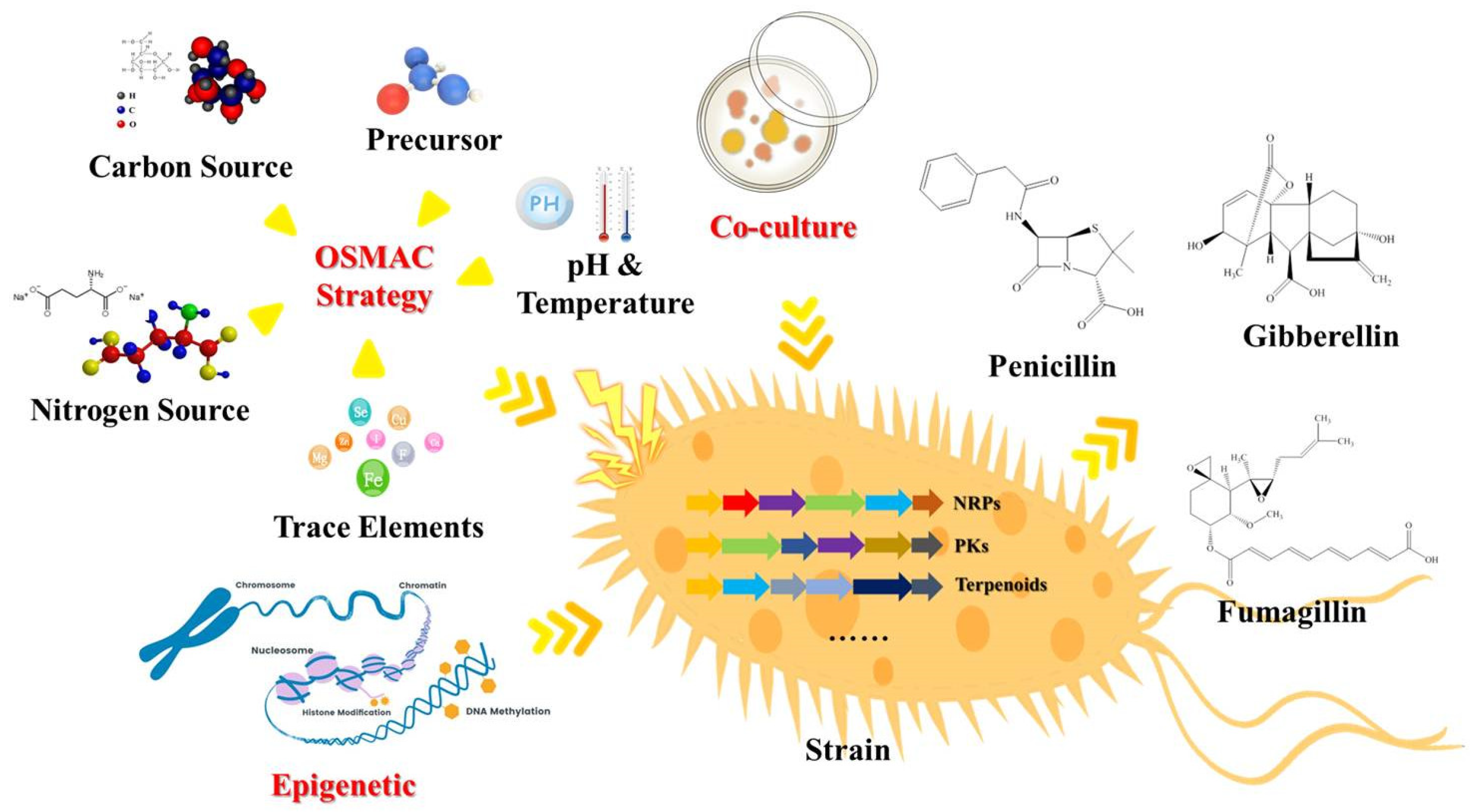 Marinedrugs 20 00705 g001