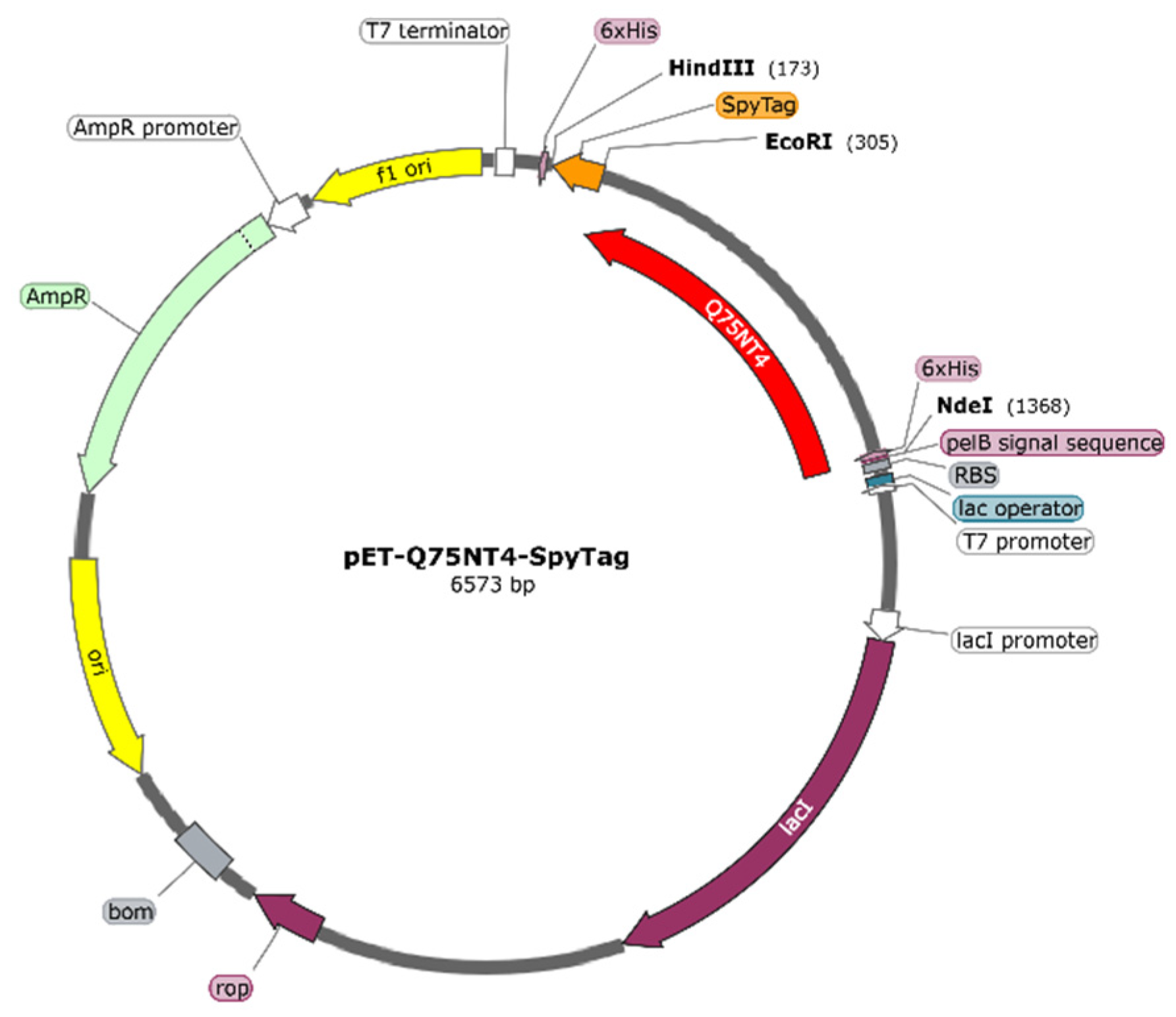 Marinedrugs 20 00709 g003