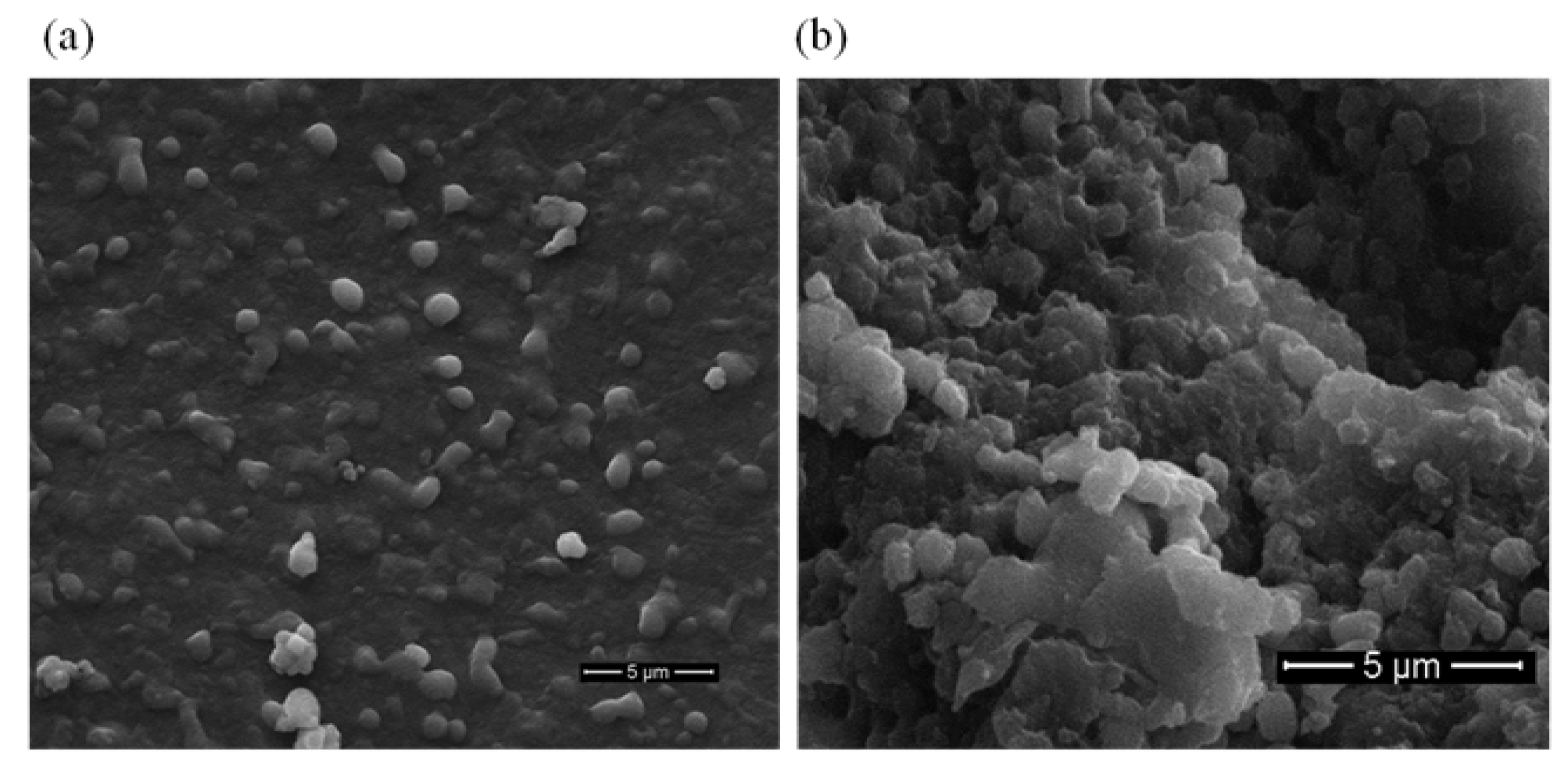 Marinedrugs 20 00709 g006