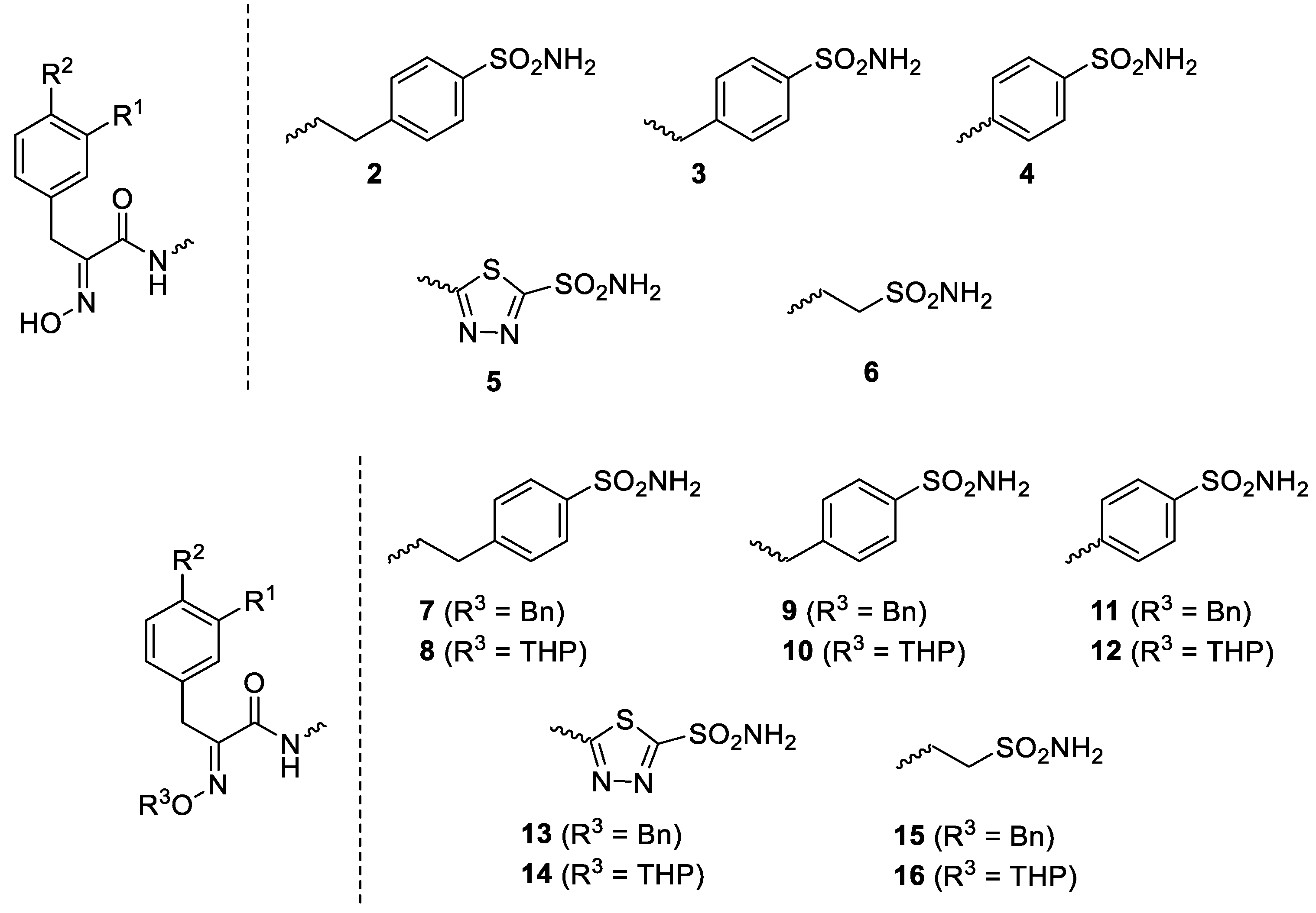 Marinedrugs 20 00721 g002