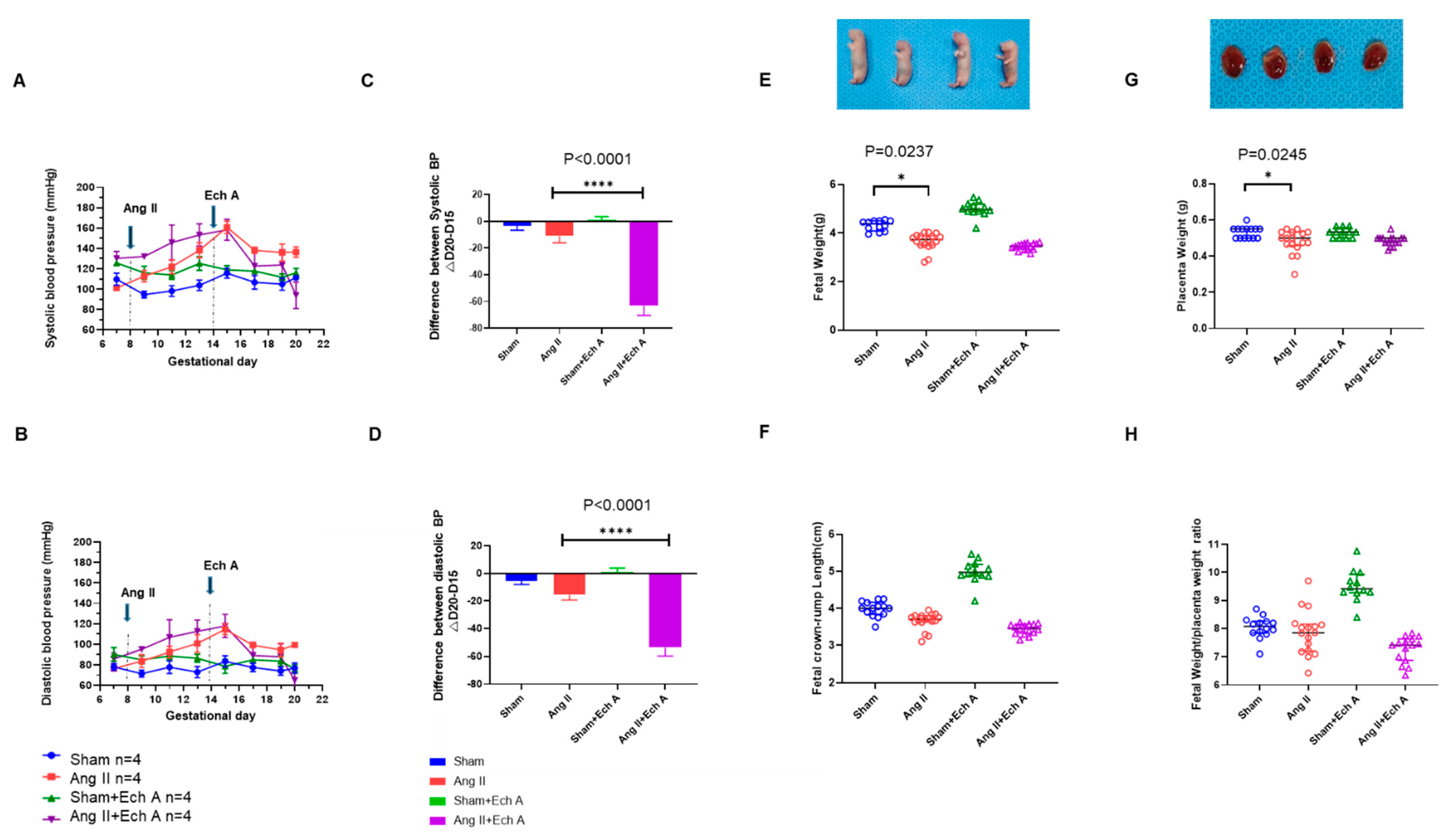 Marinedrugs 20 00722 g001 Marinedrugs 20 00722 g001