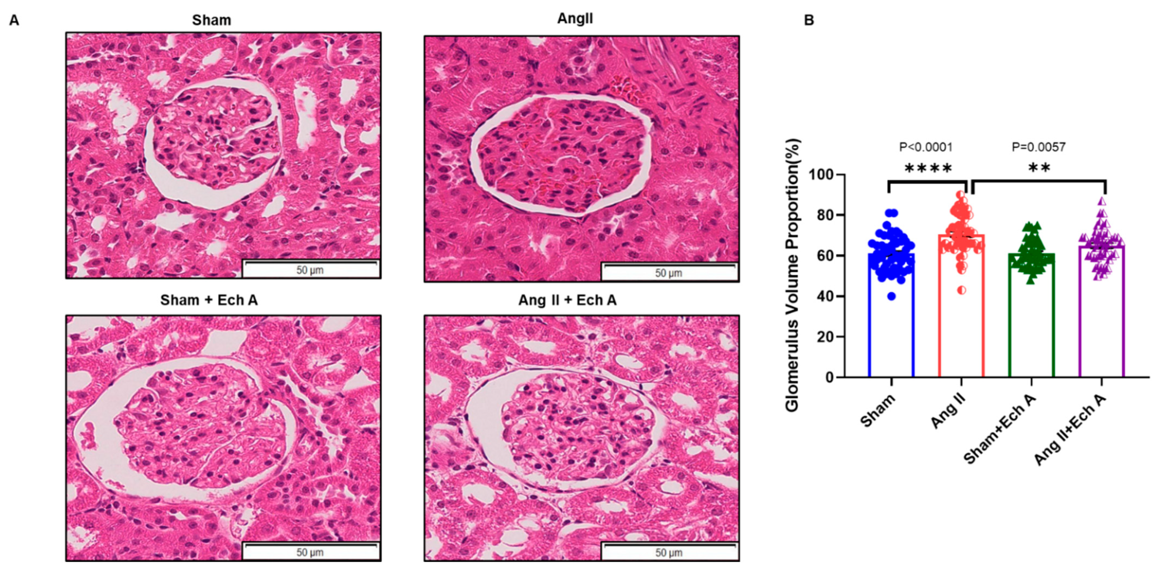Marinedrugs 20 00722 g002 Marinedrugs 20 00722 g002