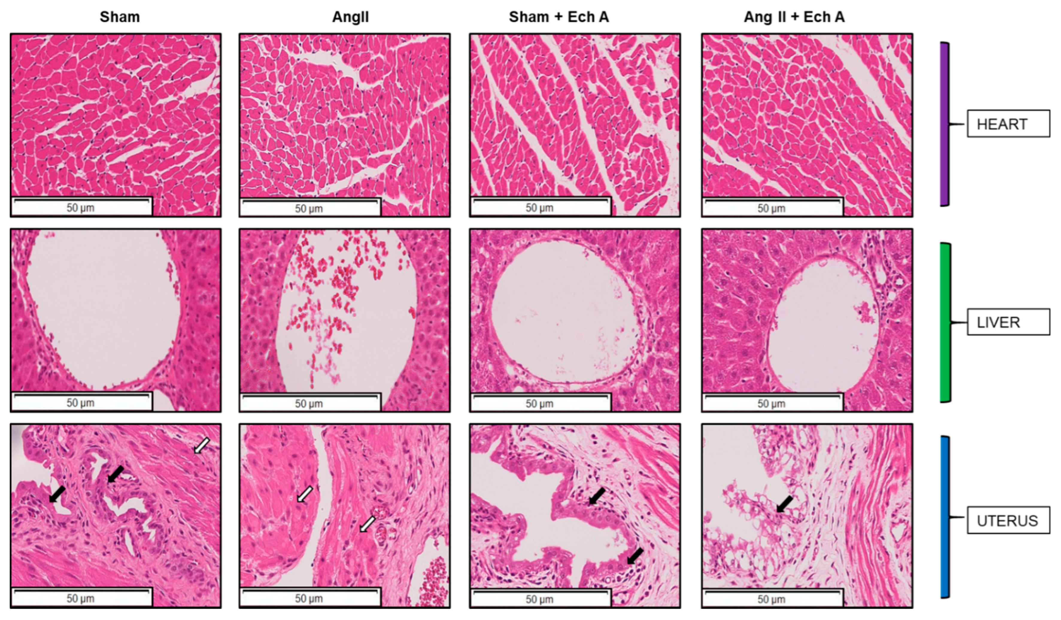 Marinedrugs 20 00722 g003 Marinedrugs 20 00722 g003