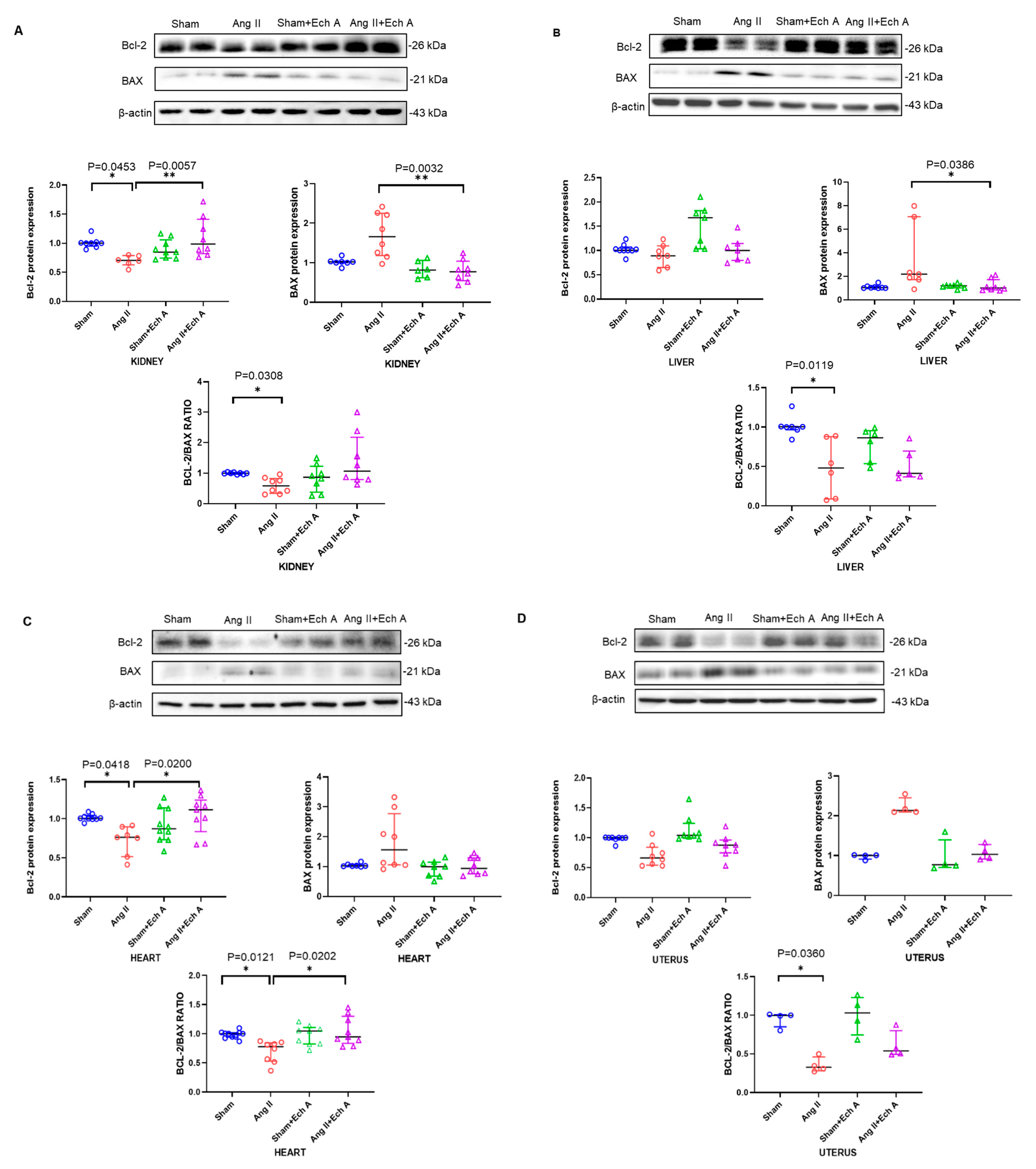 Marinedrugs 20 00722 g006 Marinedrugs 20 00722 g006