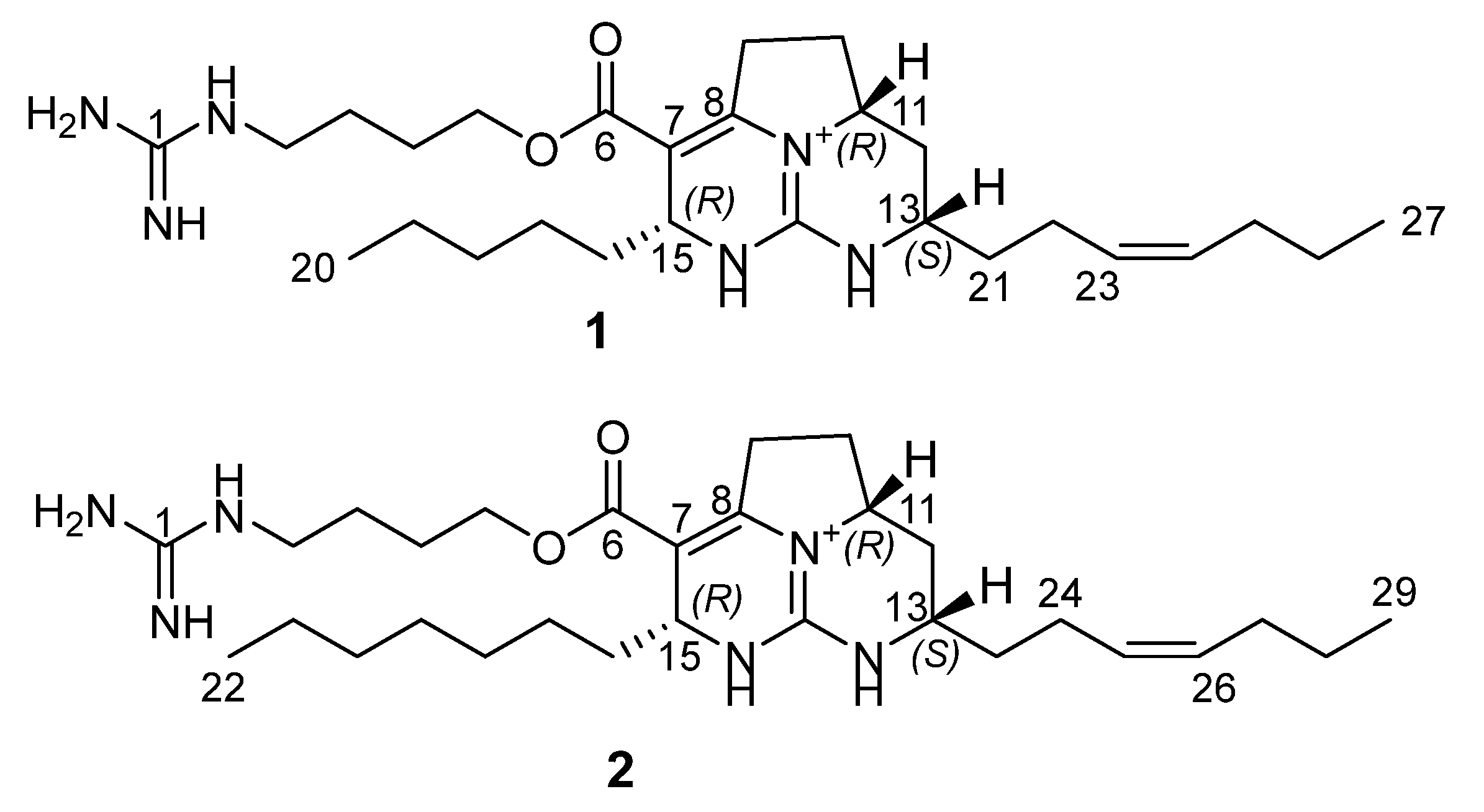 Marinedrugs 20 00738 g001 Marinedrugs 20 00738 g001