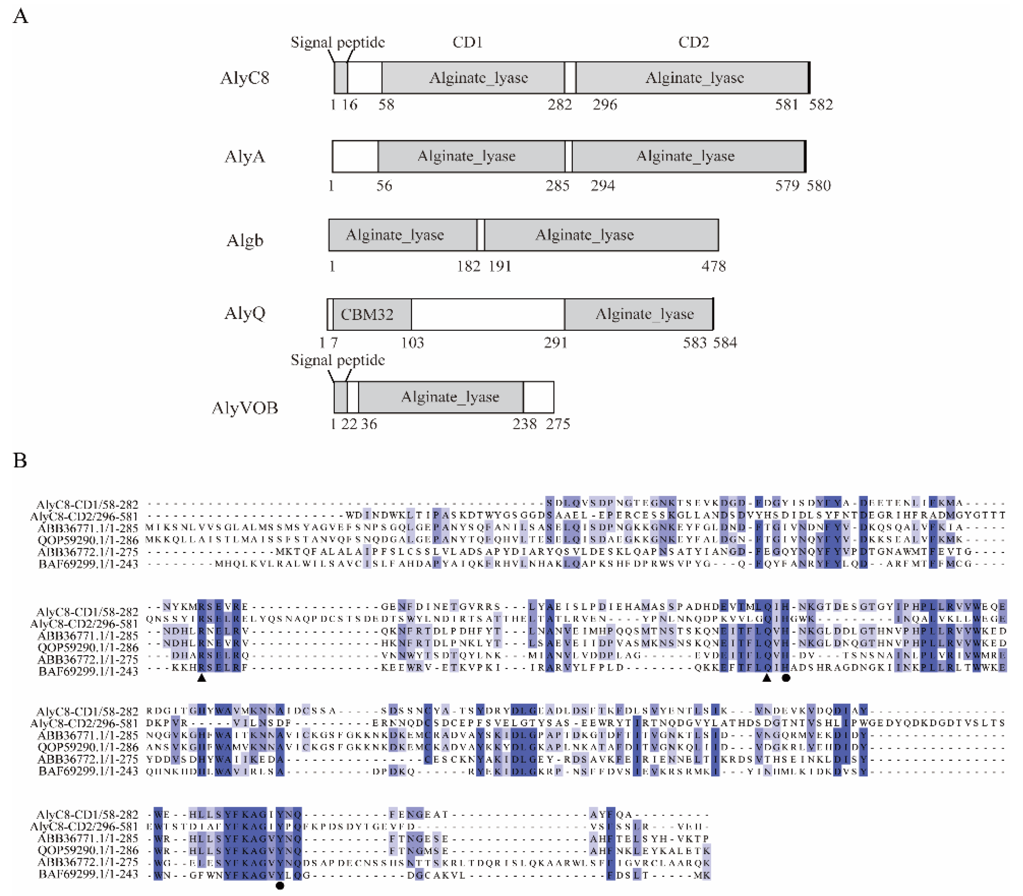 Marinedrugs 20 00746 g001a