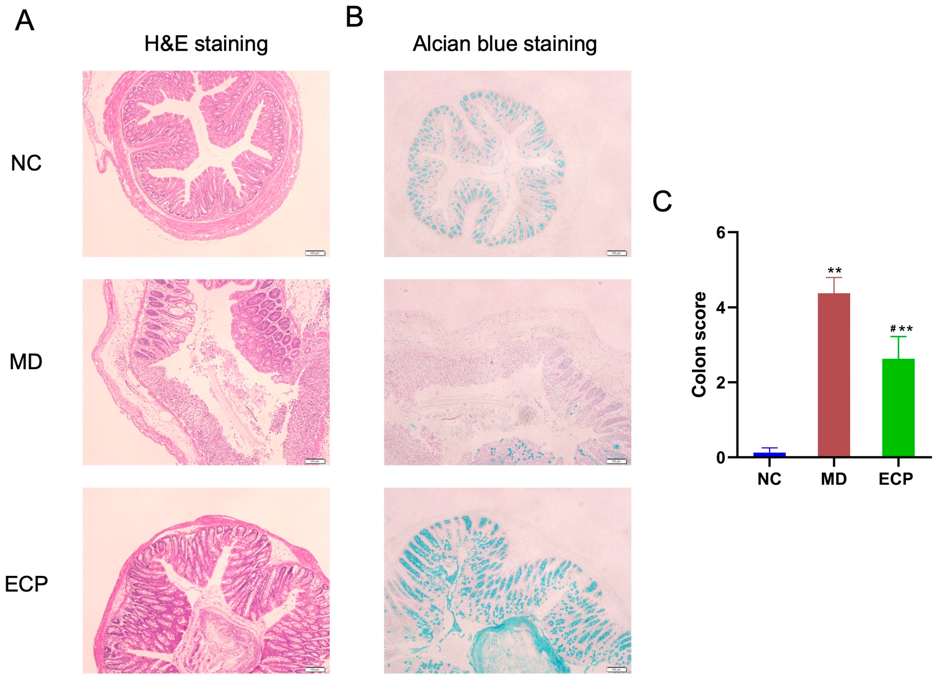 Marinedrugs 20 00764 g002