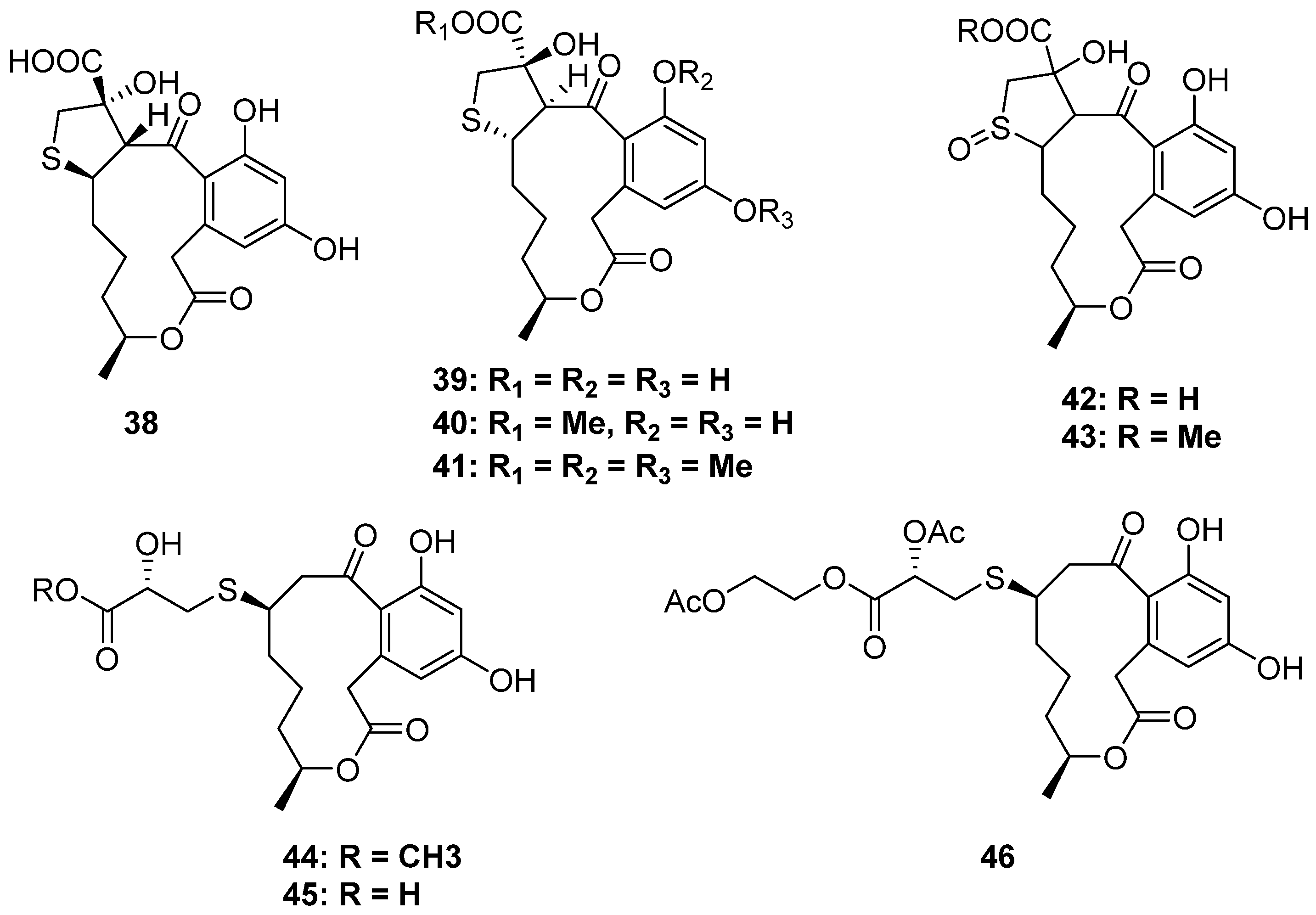 Marinedrugs 20 00765 g007 Marinedrugs 20 00765 g007