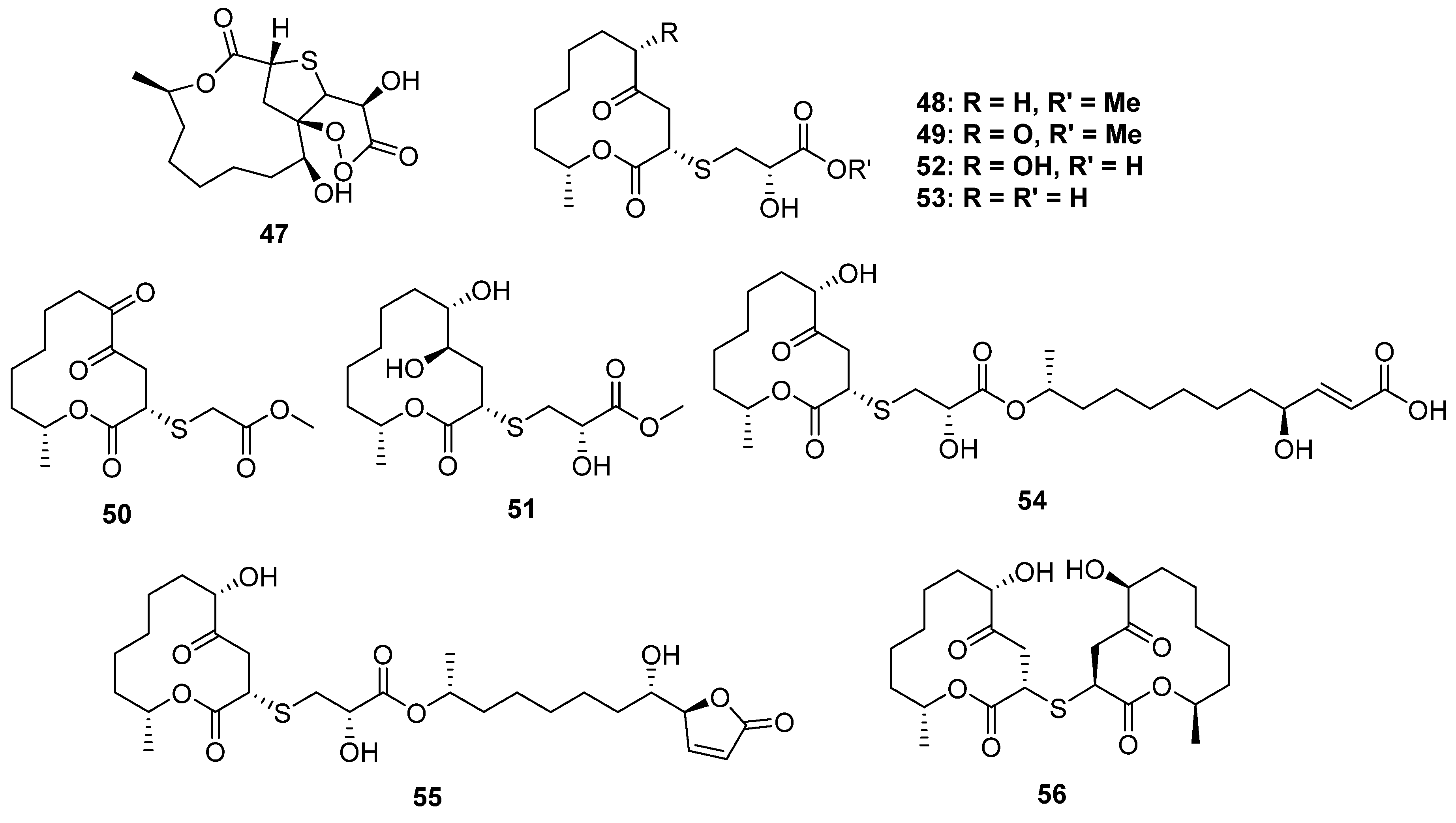 Marinedrugs 20 00765 g008 Marinedrugs 20 00765 g008