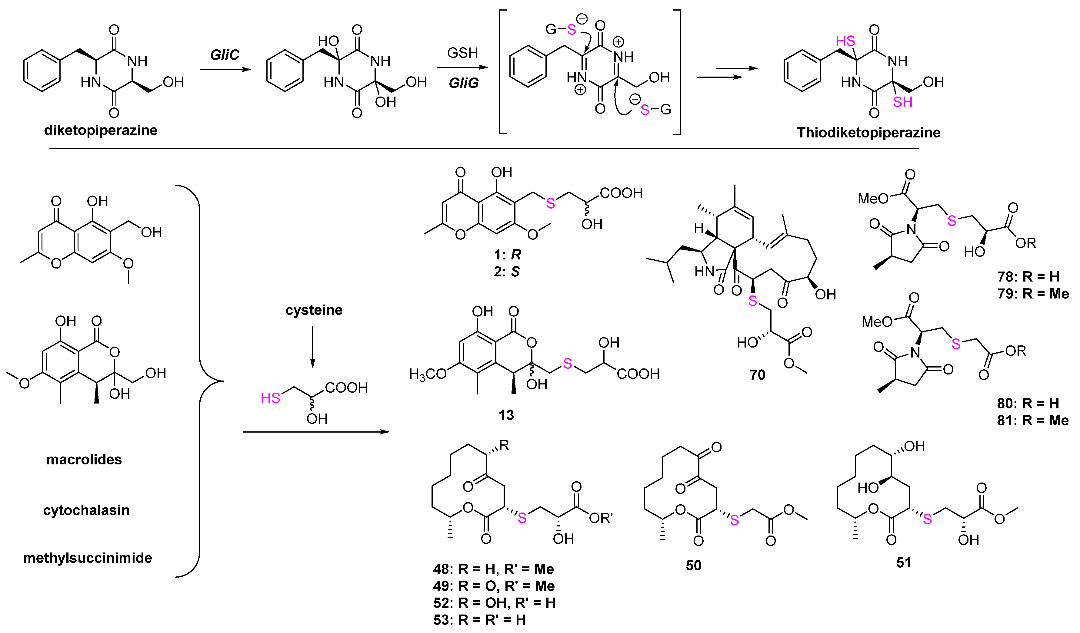 Marinedrugs 20 00765 g020 Marinedrugs 20 00765 g020