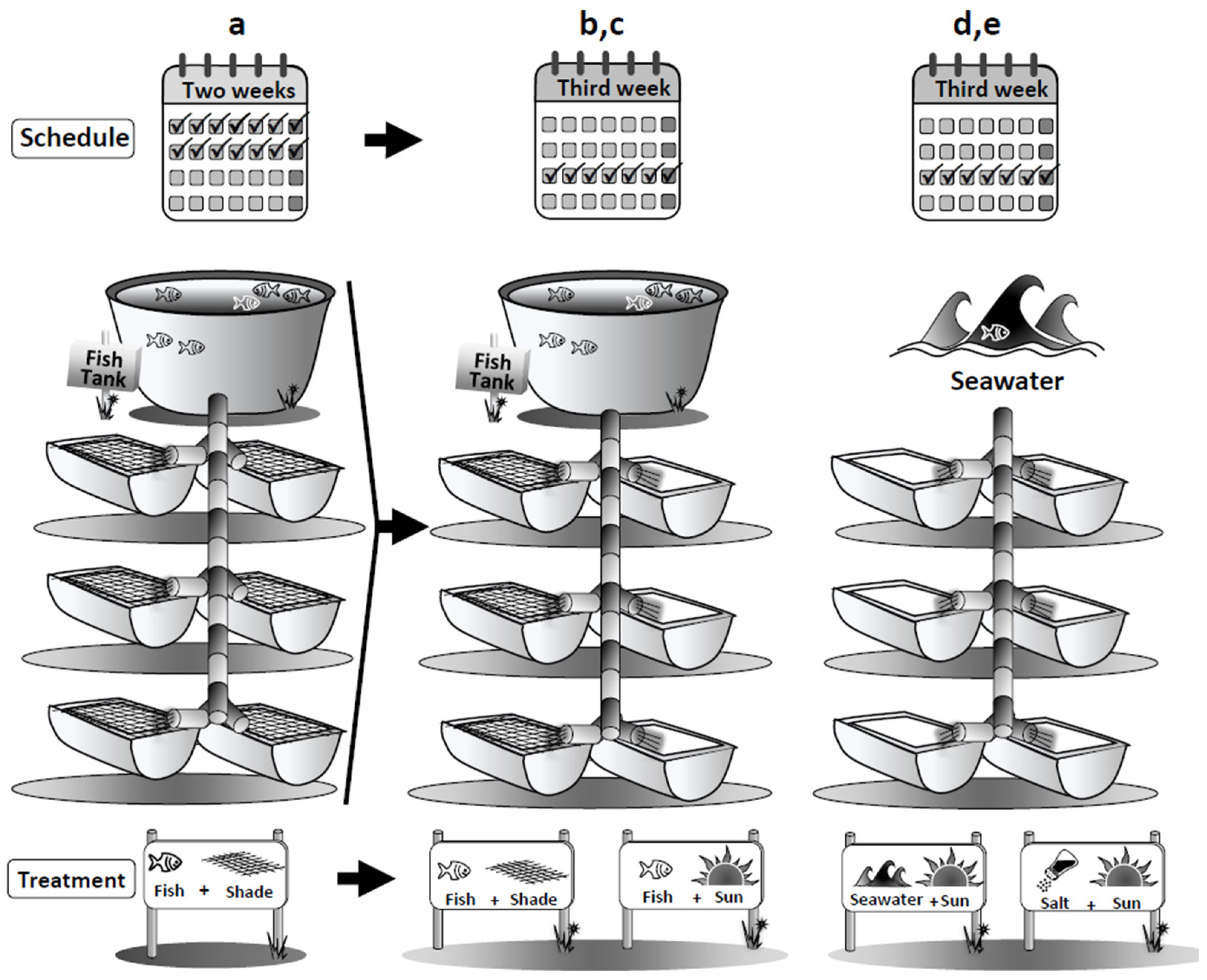 Marinedrugs 20 00767 g006