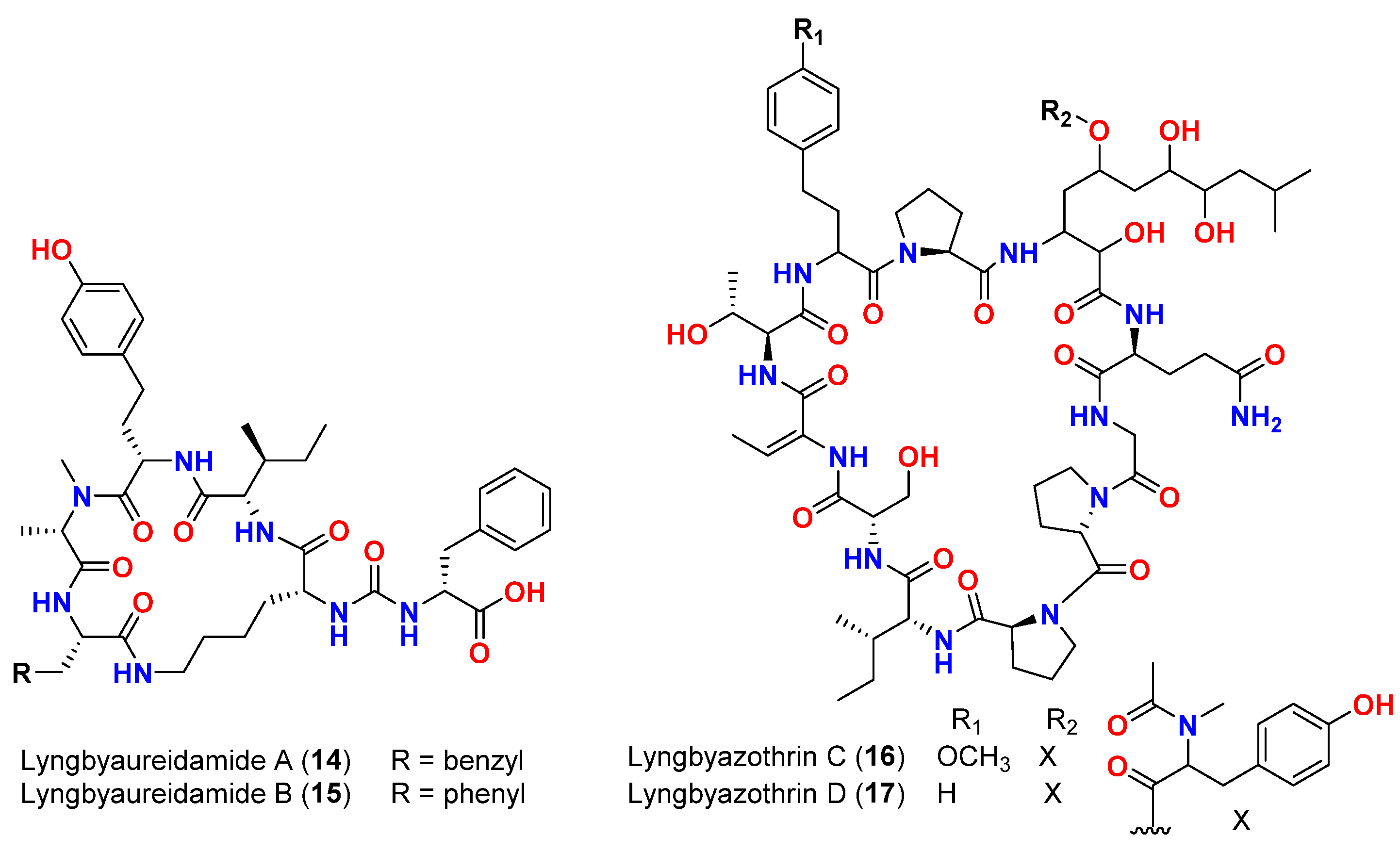 Marinedrugs 20 00768 g007 Marinedrugs 20 00768 g007