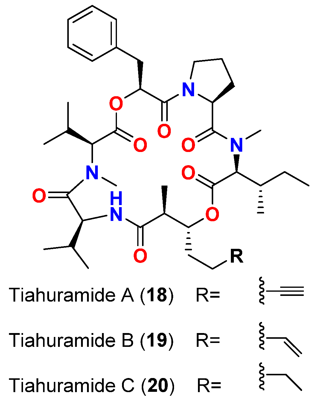 Marinedrugs 20 00768 g008 Marinedrugs 20 00768 g008