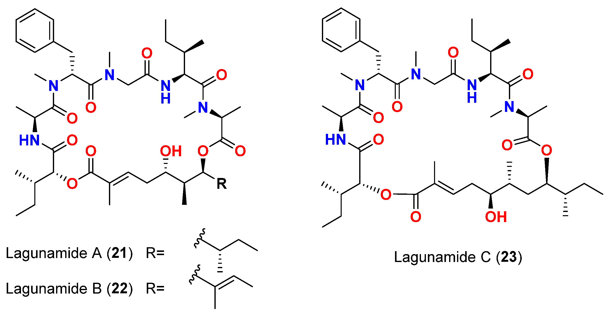 Marinedrugs 20 00768 g009 Marinedrugs 20 00768 g009