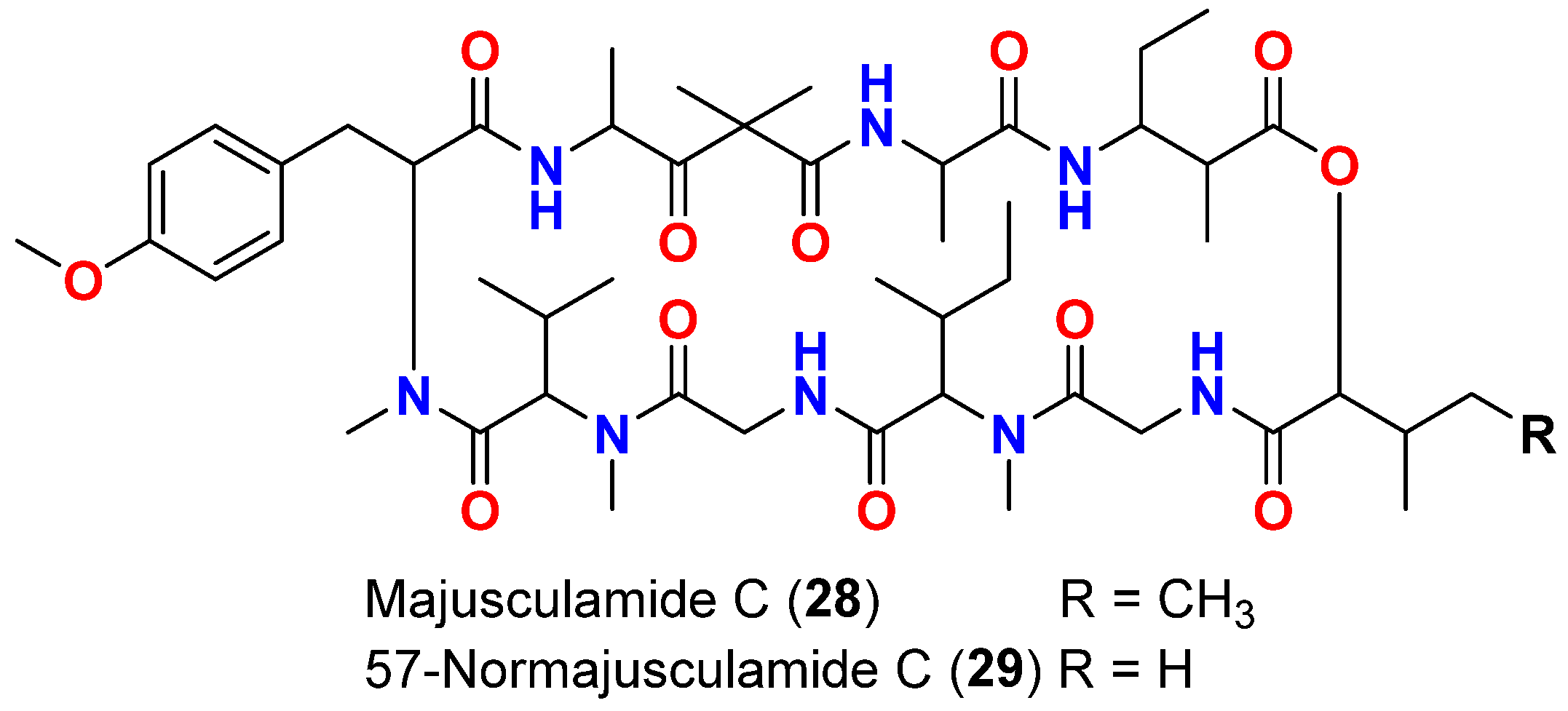 Marinedrugs 20 00768 g012 Marinedrugs 20 00768 g012