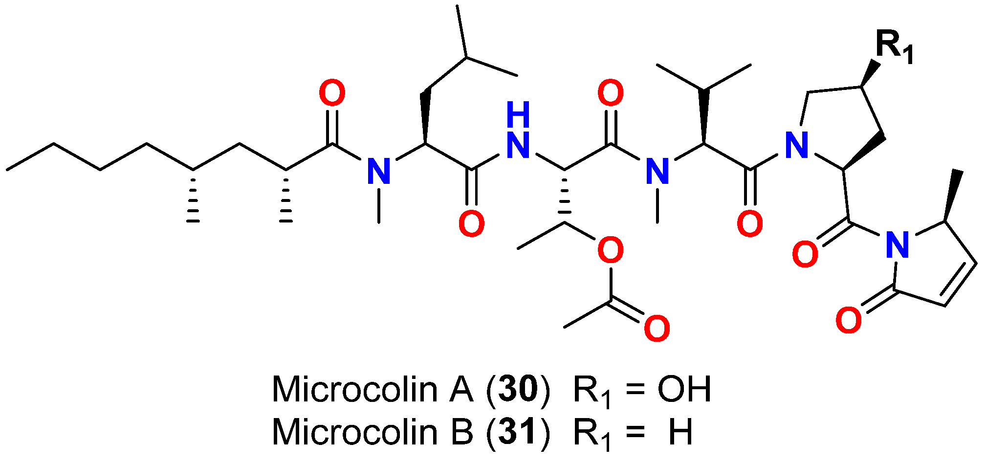 Marinedrugs 20 00768 g013 Marinedrugs 20 00768 g013
